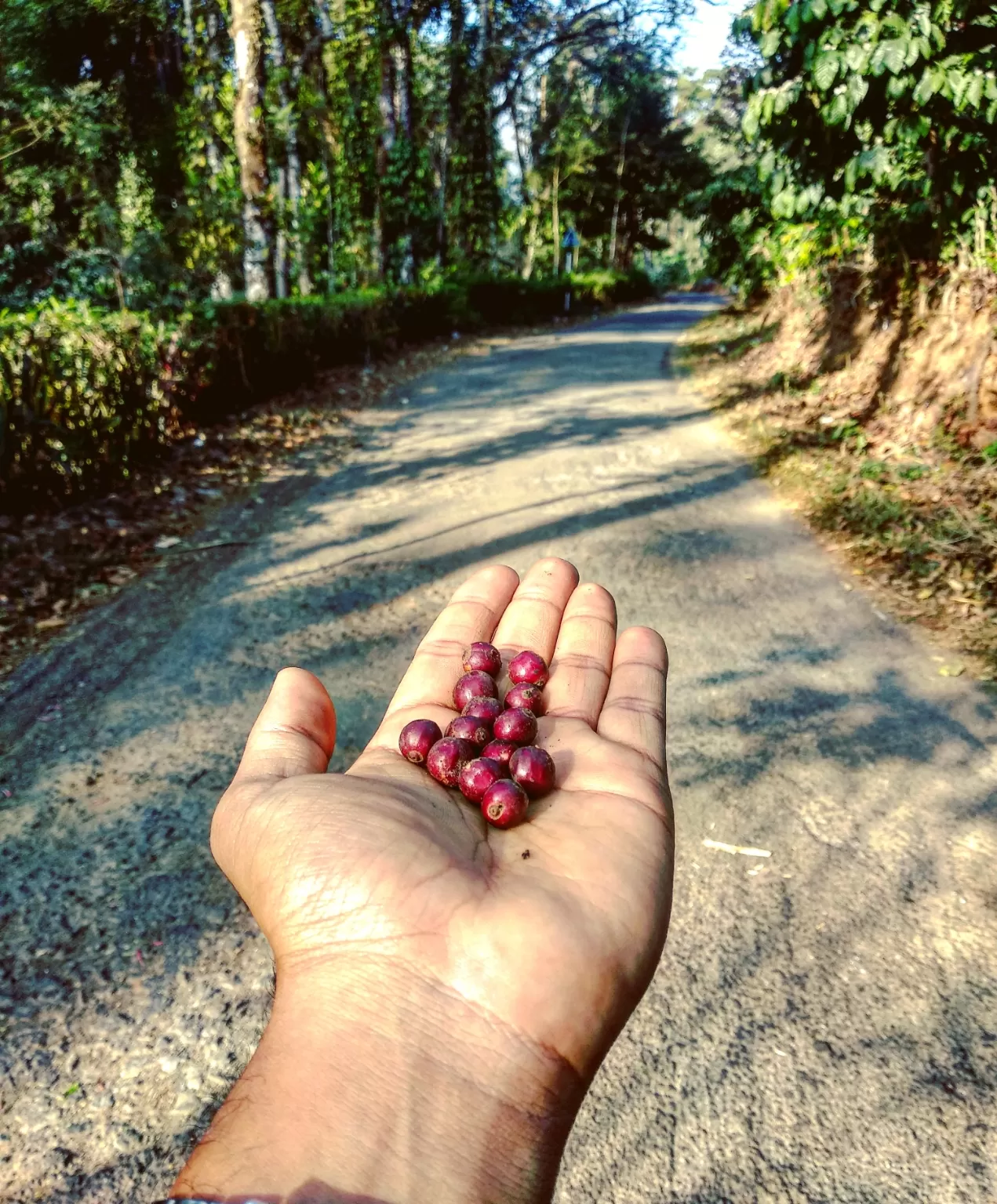 Photo of Tadiandamol By Syed sameer akhtar
