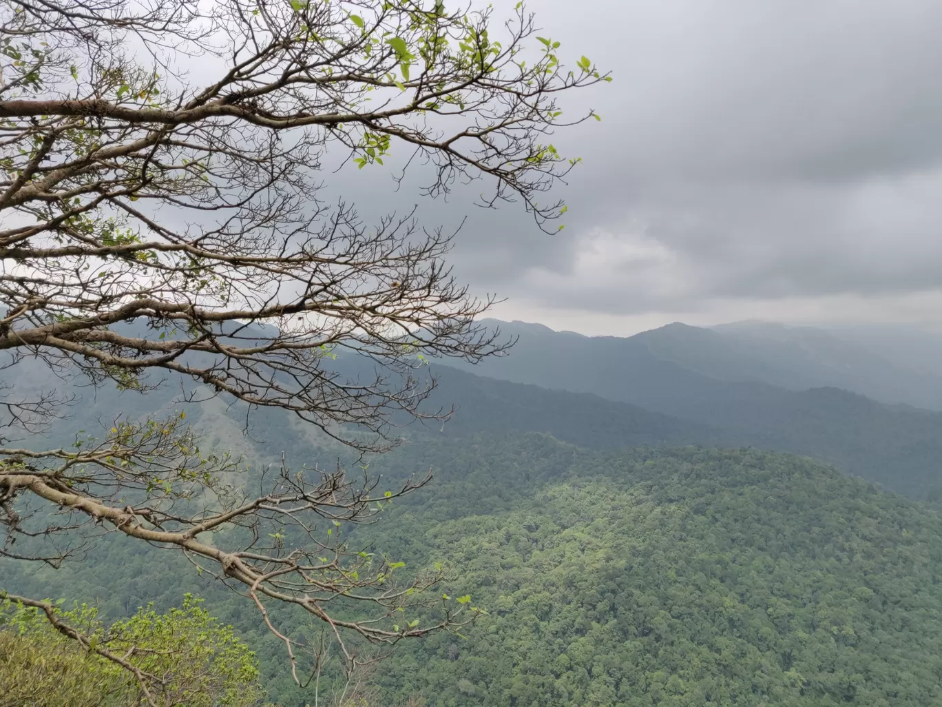 Photo of Charmadi Ghat View Point By Niket Saini