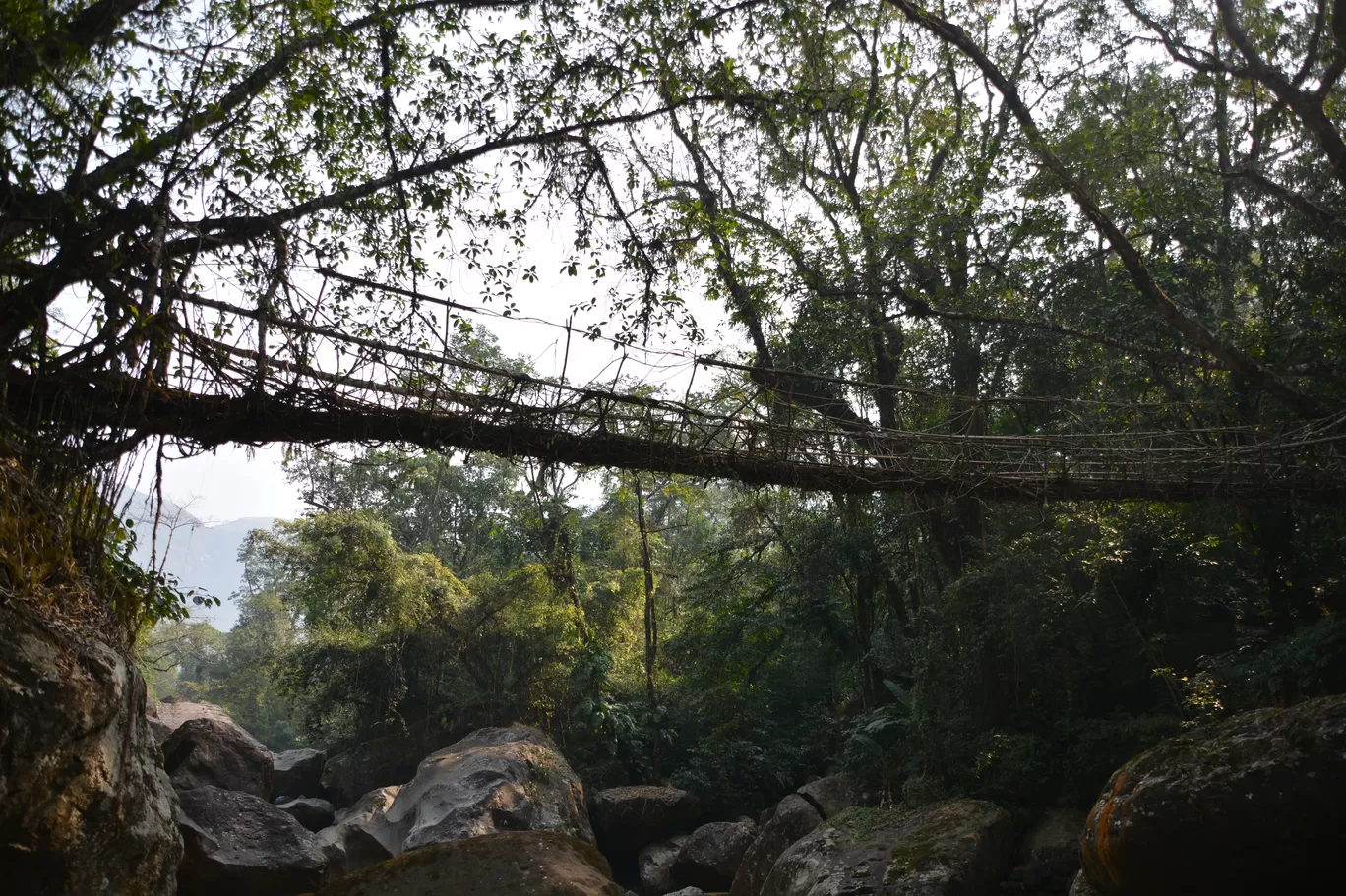 Photo of Guwahati By Vighnaraj Bhat