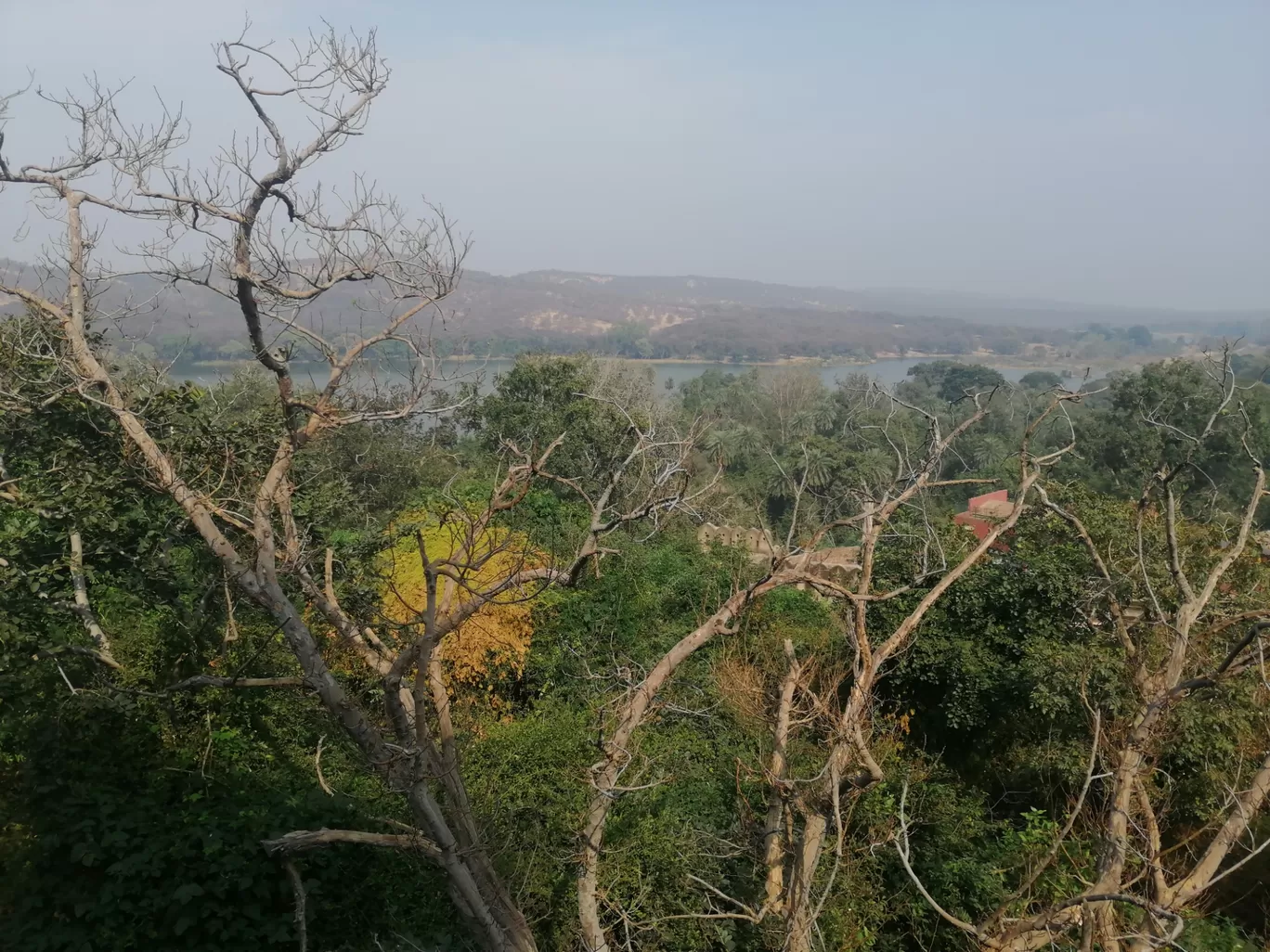 Photo of Ranthambhore Fort By Avinash Chouhan