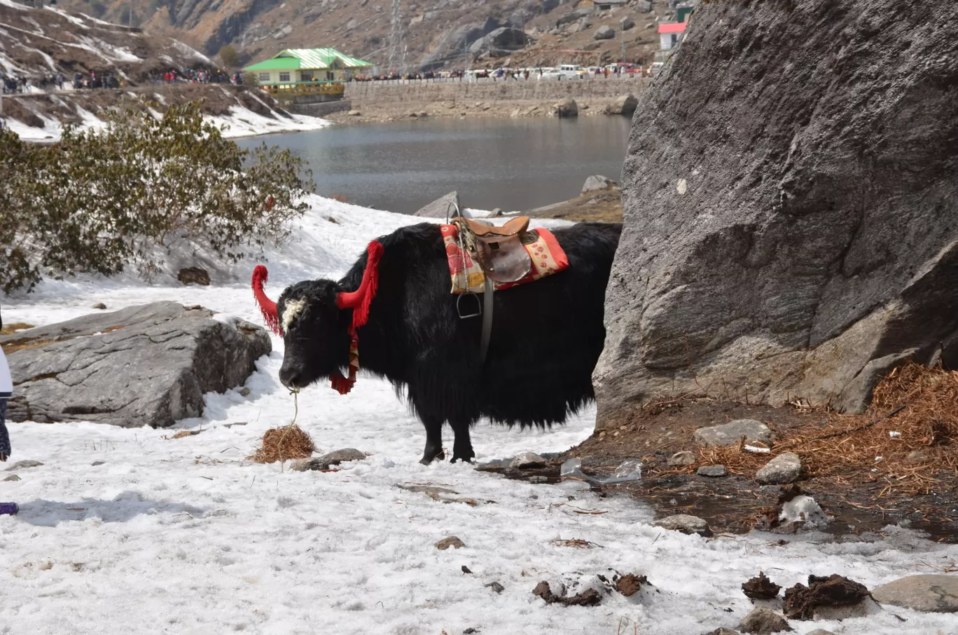 Photo of Gangtok By Purvita Shah