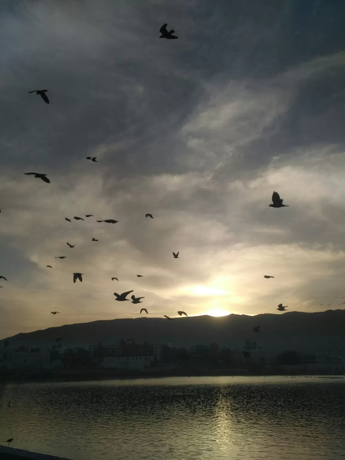 Photo of Pushkar By Antriksh Gahlot