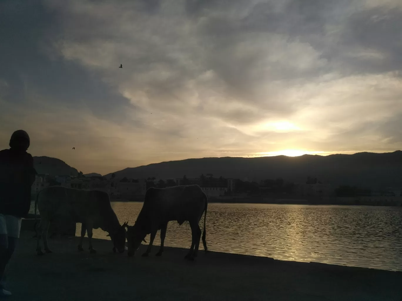 Photo of Pushkar By Antriksh Gahlot