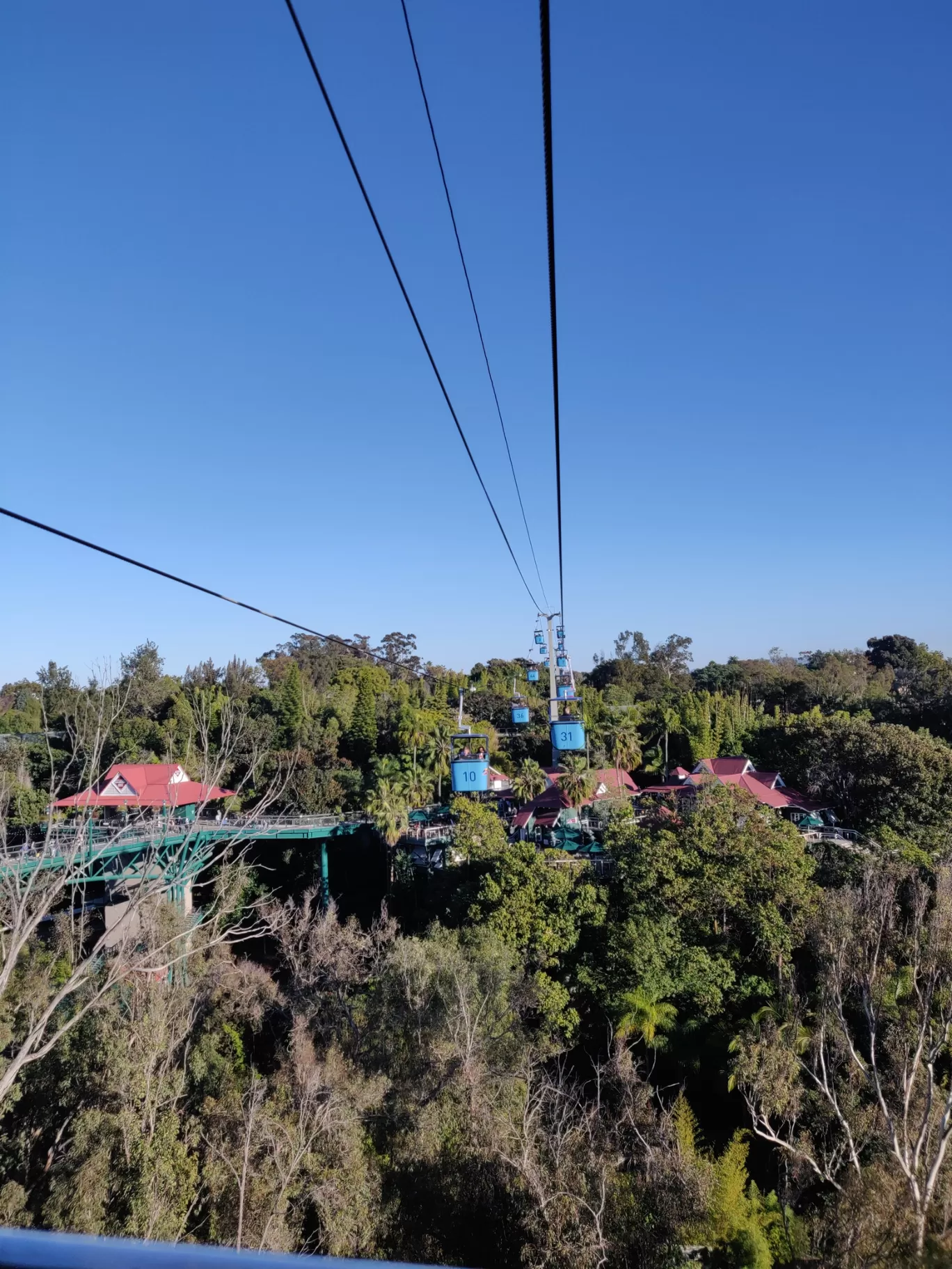 Photo of San Diego Zoo By Prihaa Avtar