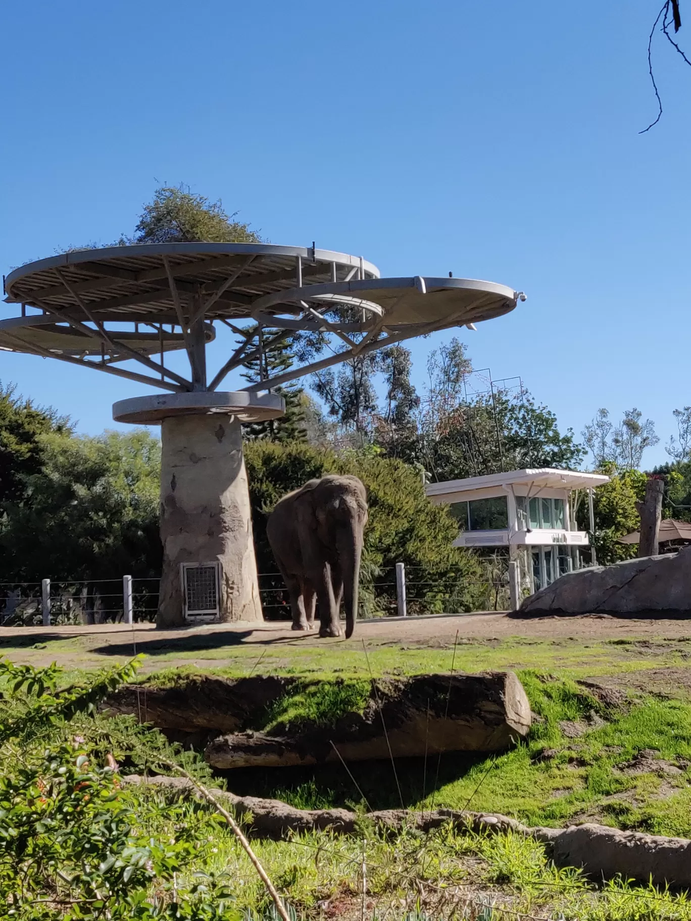 Photo of San Diego Zoo By Prihaa Avtar