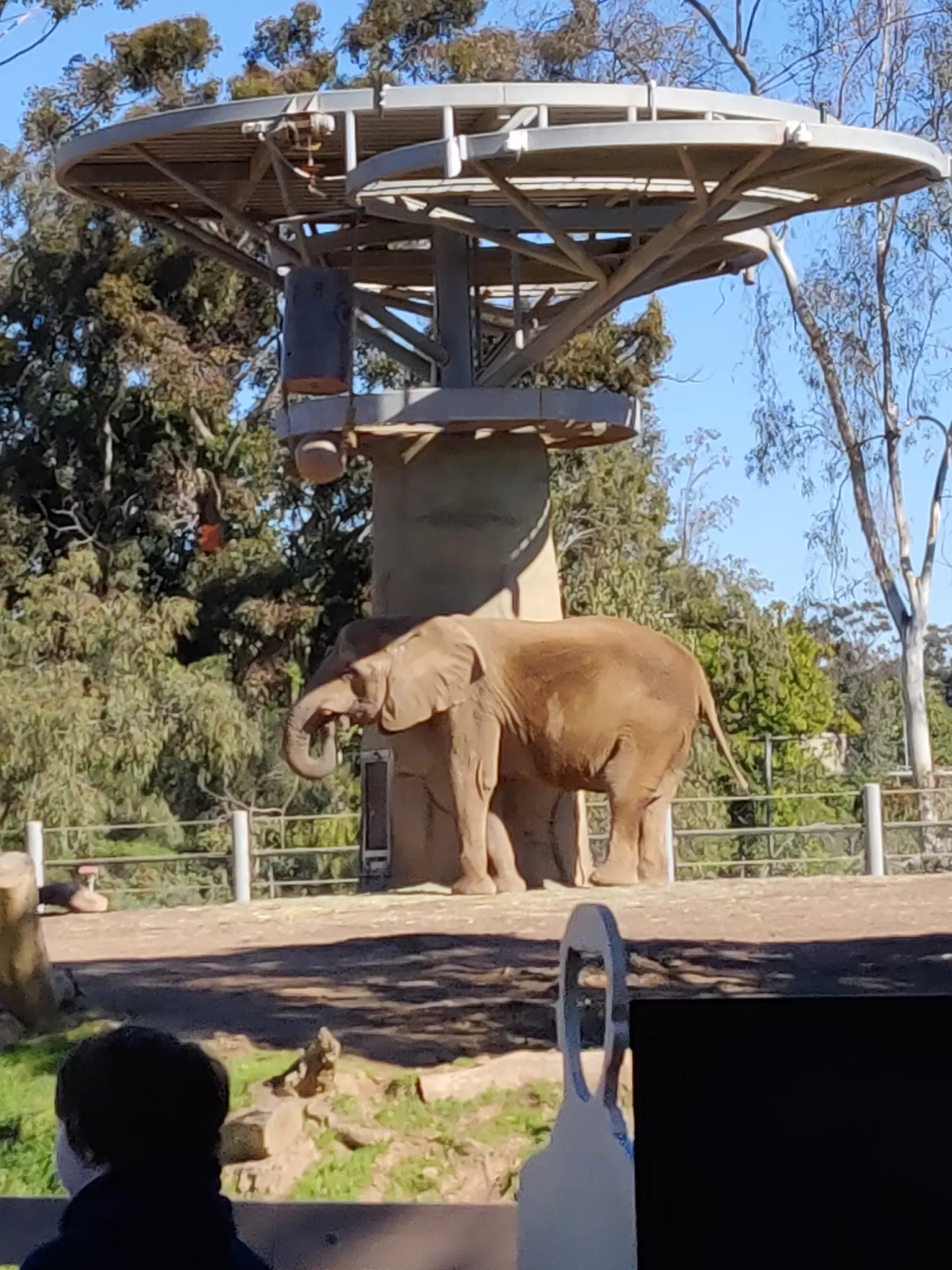 Photo of San Diego Zoo By Prihaa Avtar