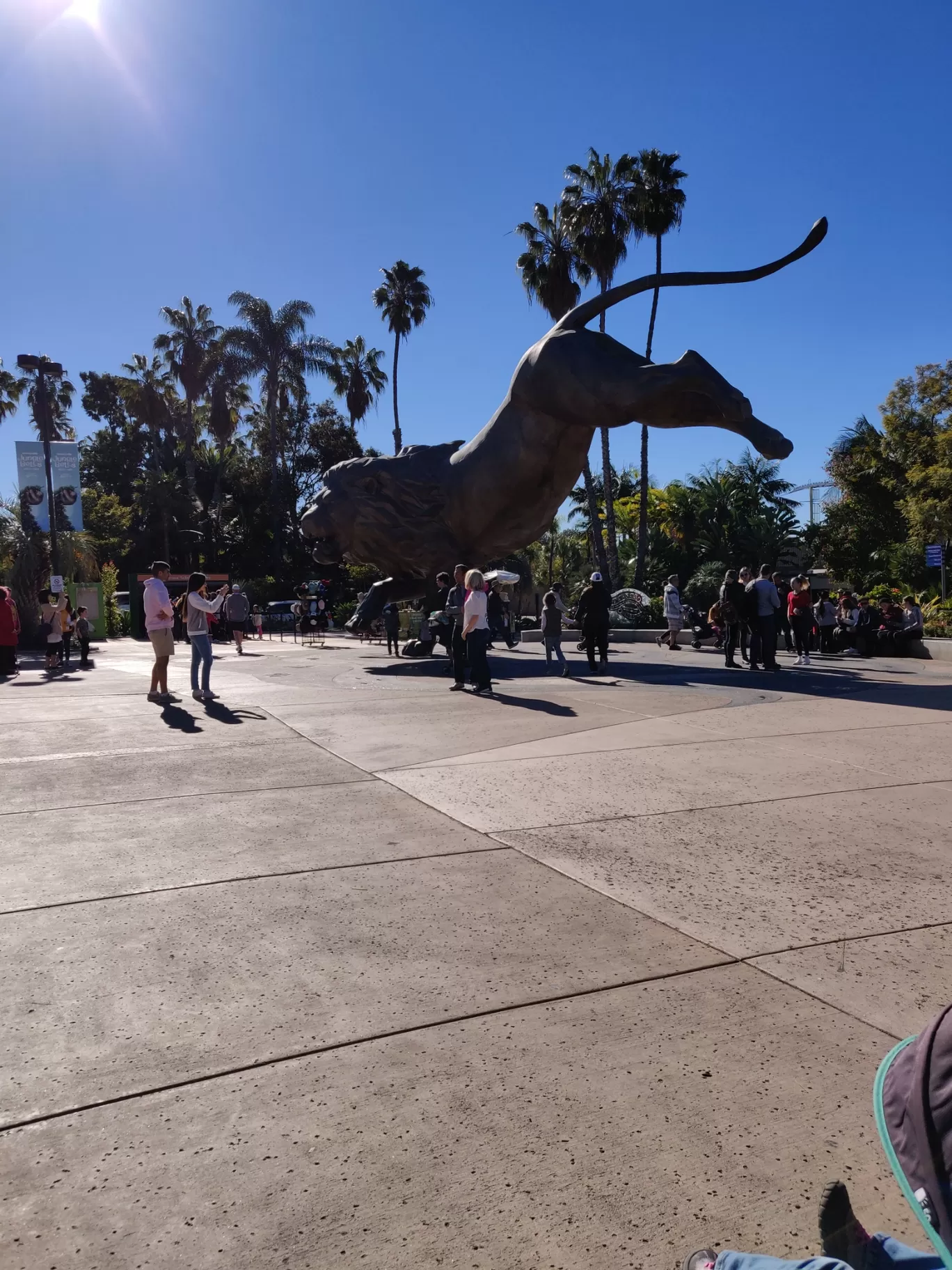 Photo of San Diego Zoo By Prihaa Avtar