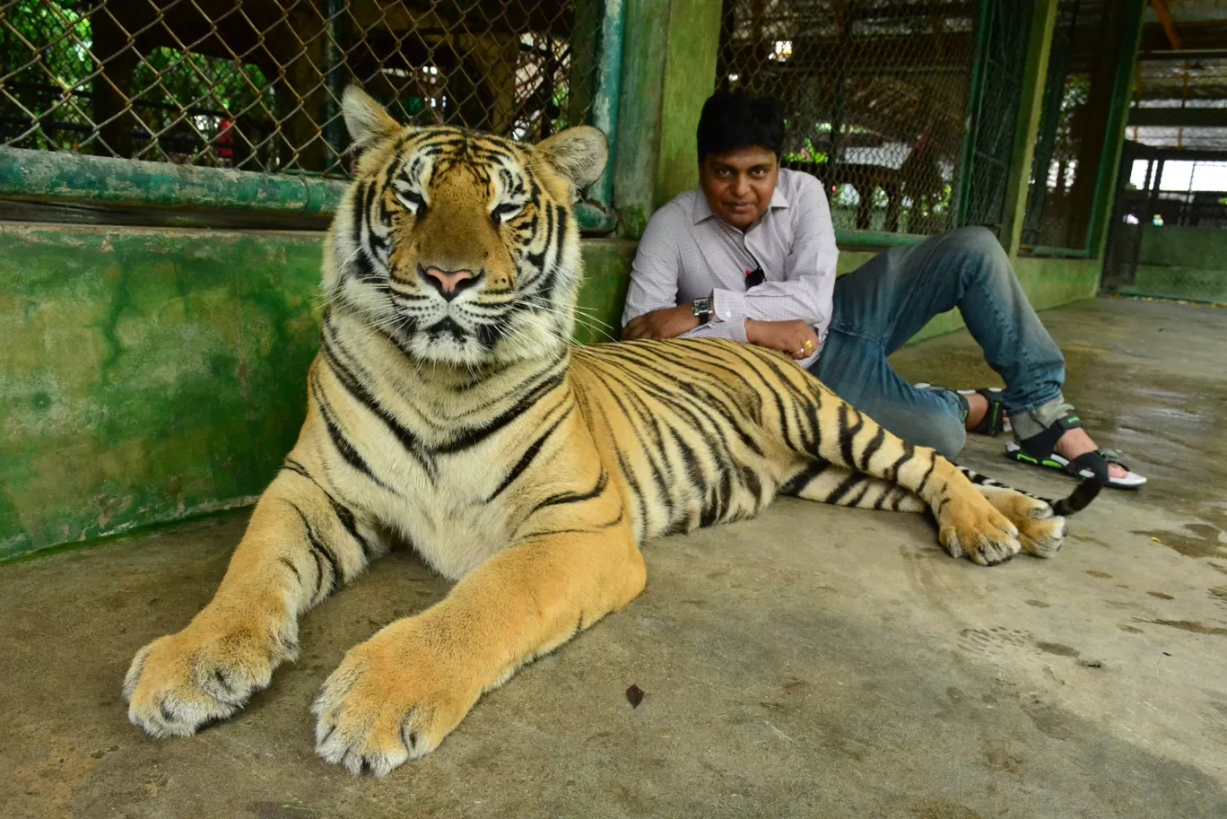 Photo of Tiger Kingdom - Phuket By Ashish Gupta