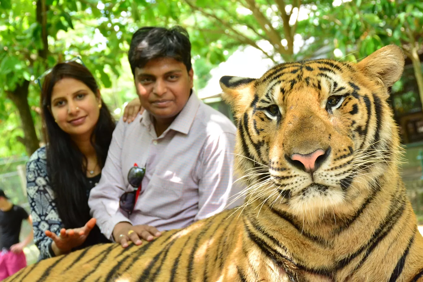 Photo of Tiger Kingdom - Phuket By Ashish Gupta