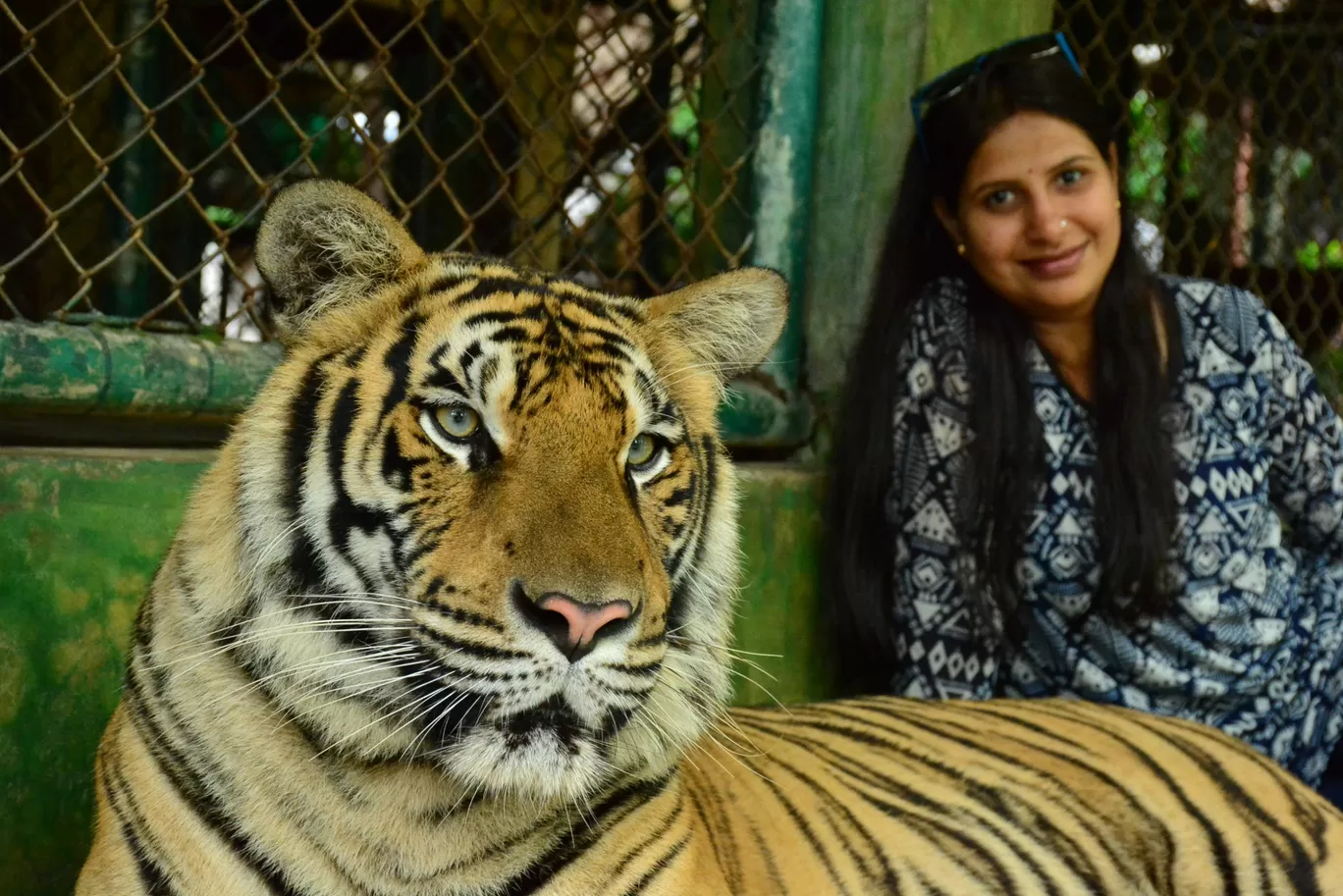 Photo of Tiger Kingdom - Phuket By Ashish Gupta