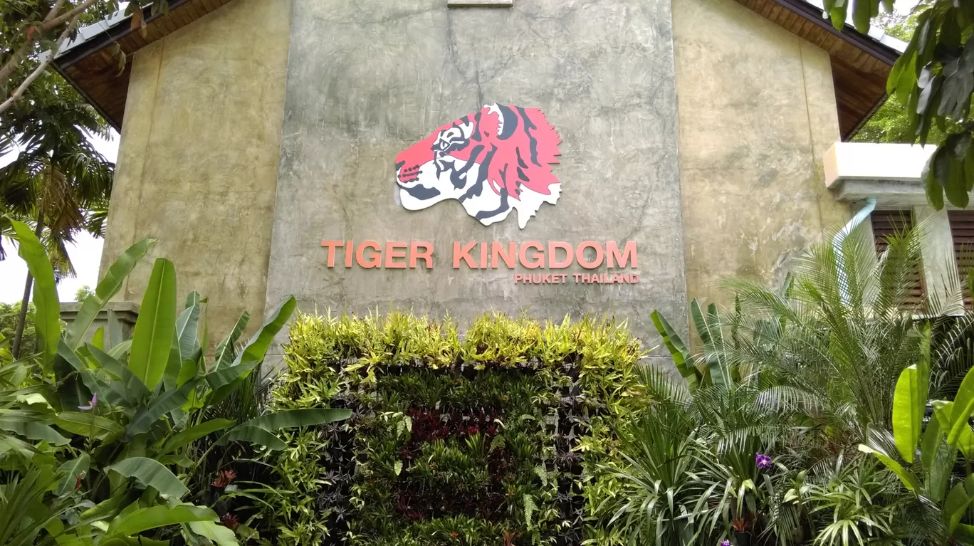 Photo of Tiger Kingdom - Phuket By Ashish Gupta
