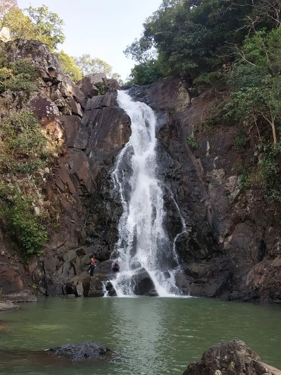 Photo of Similipal National Park By Reeta Minz