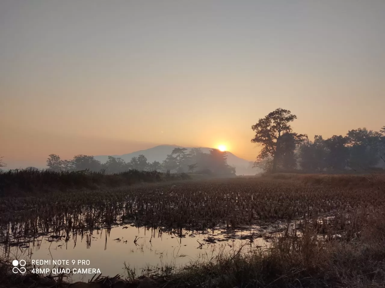 Photo of Similipal National Park By Reeta Minz