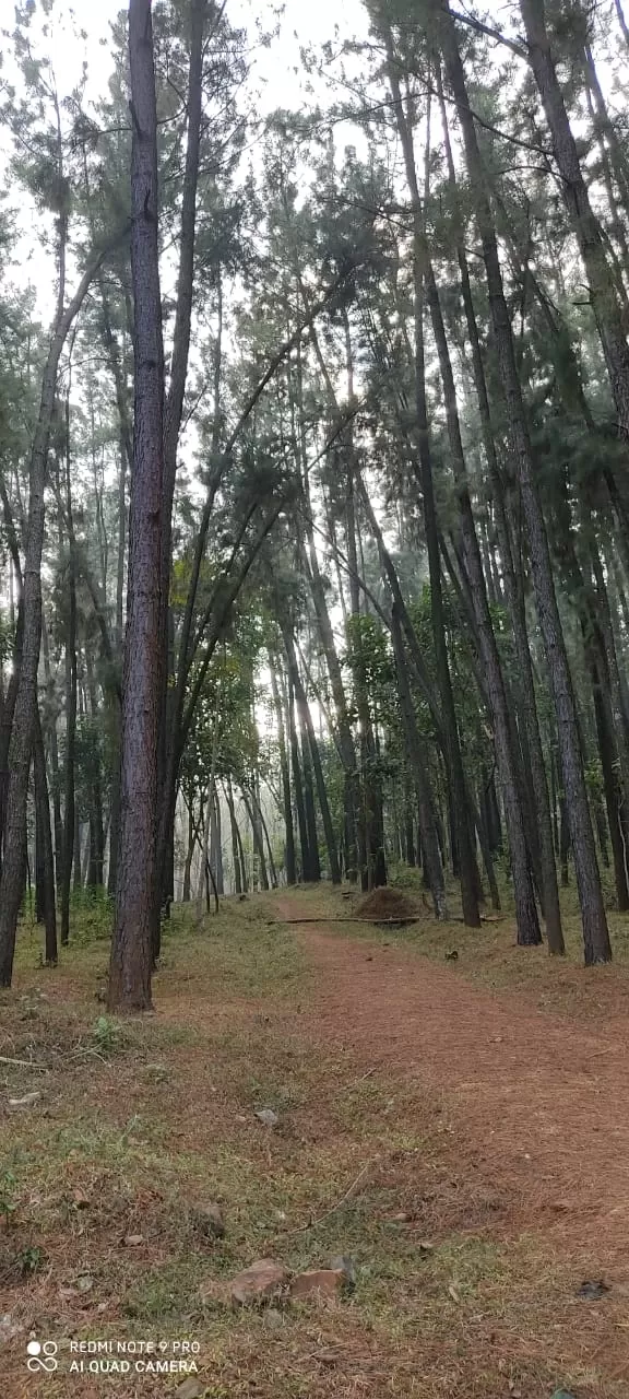 Photo of Similipal National Park By Reeta Minz