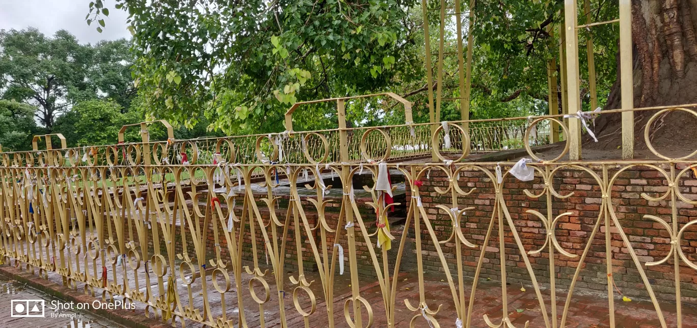 Photo of Shravasti By Anmol Singh