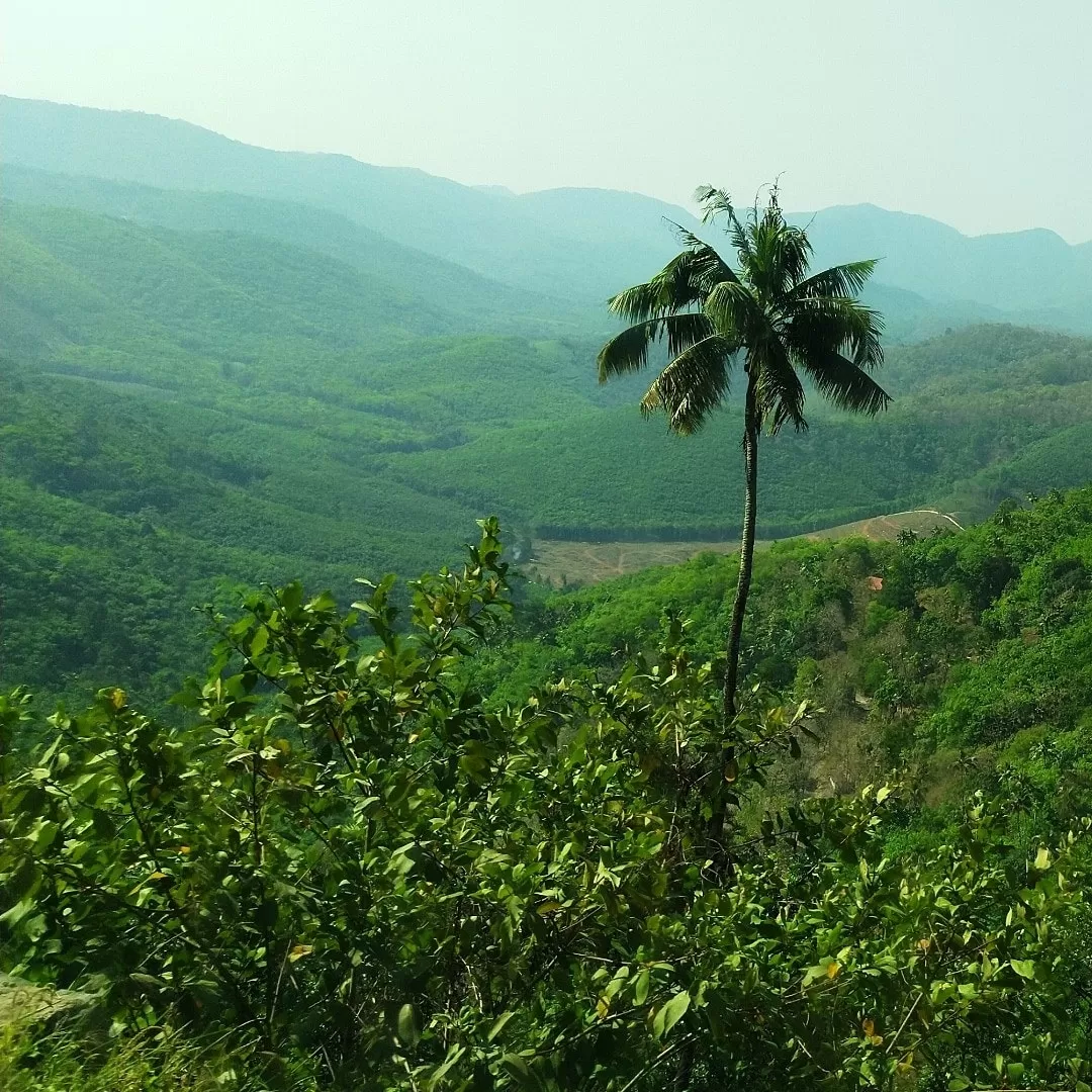 Photo of Kerala By poojac03