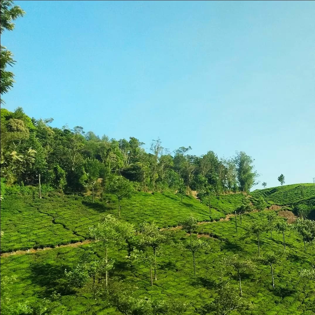 Photo of Kerala By poojac03