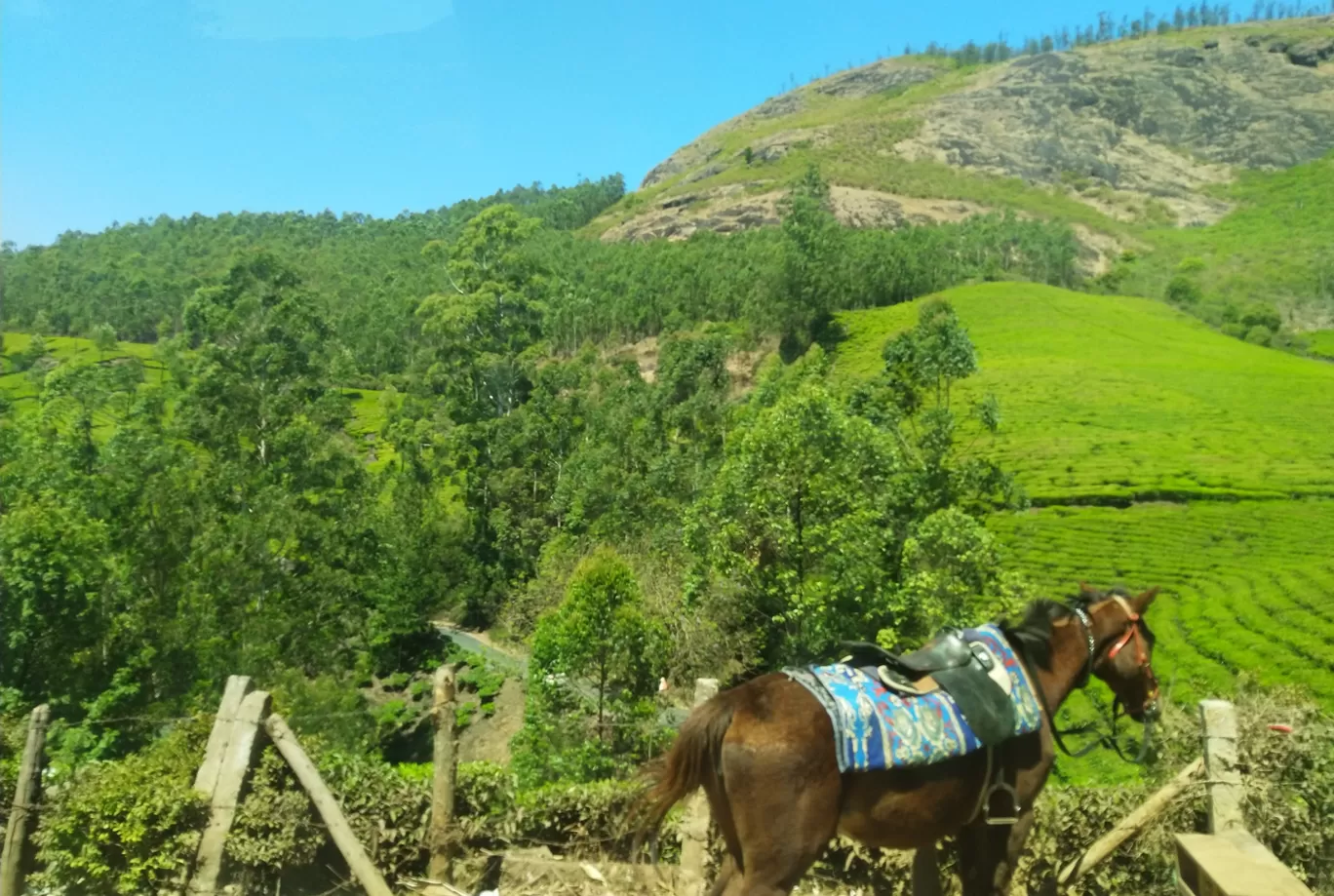 Photo of Kerala By poojac03