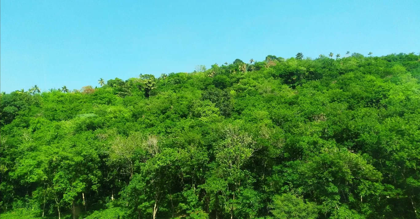 Photo of Kerala By poojac03