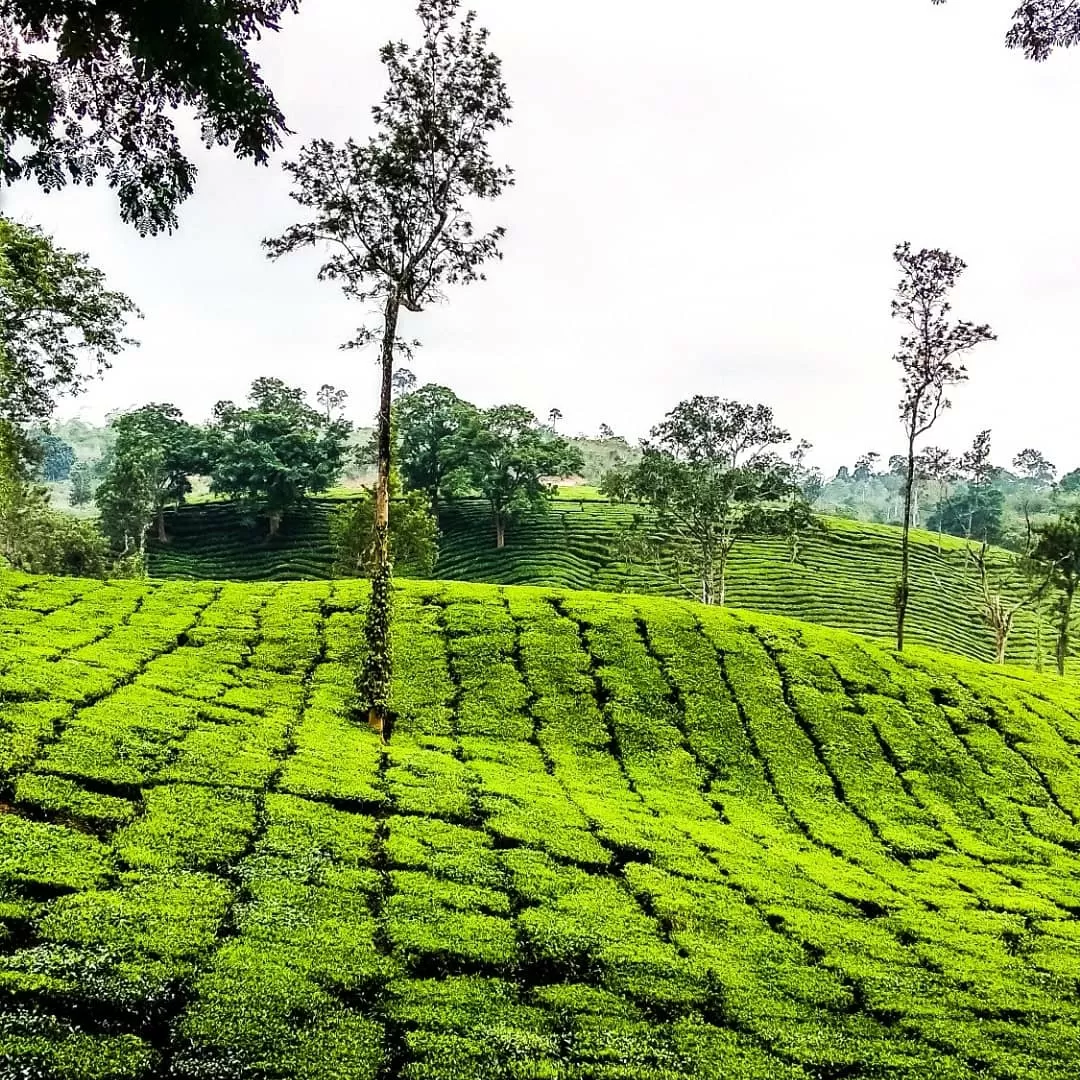 Photo of Wayanad By Veejay Karthi