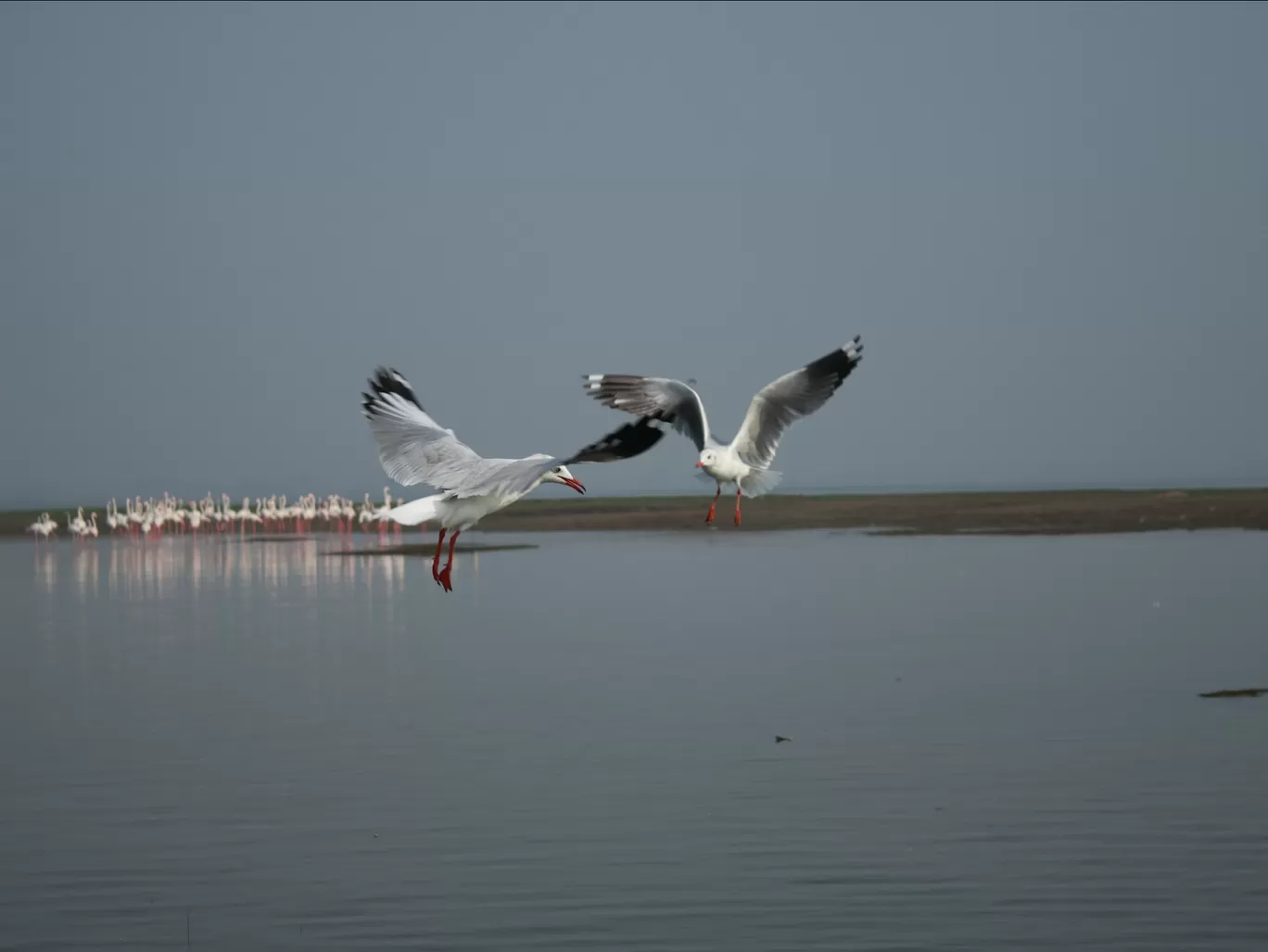 Photo of Bhigwan By Arnav Ingale