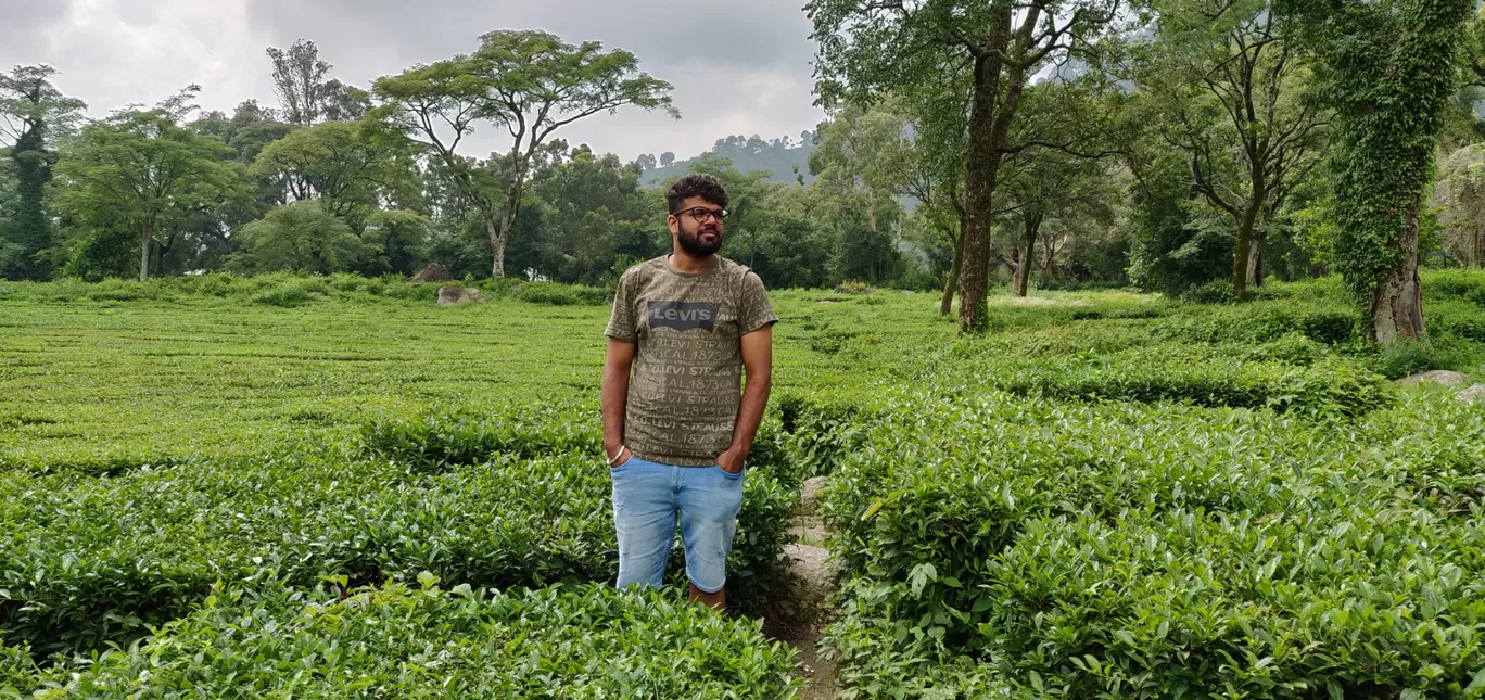 Photo of Palampur By AJAY