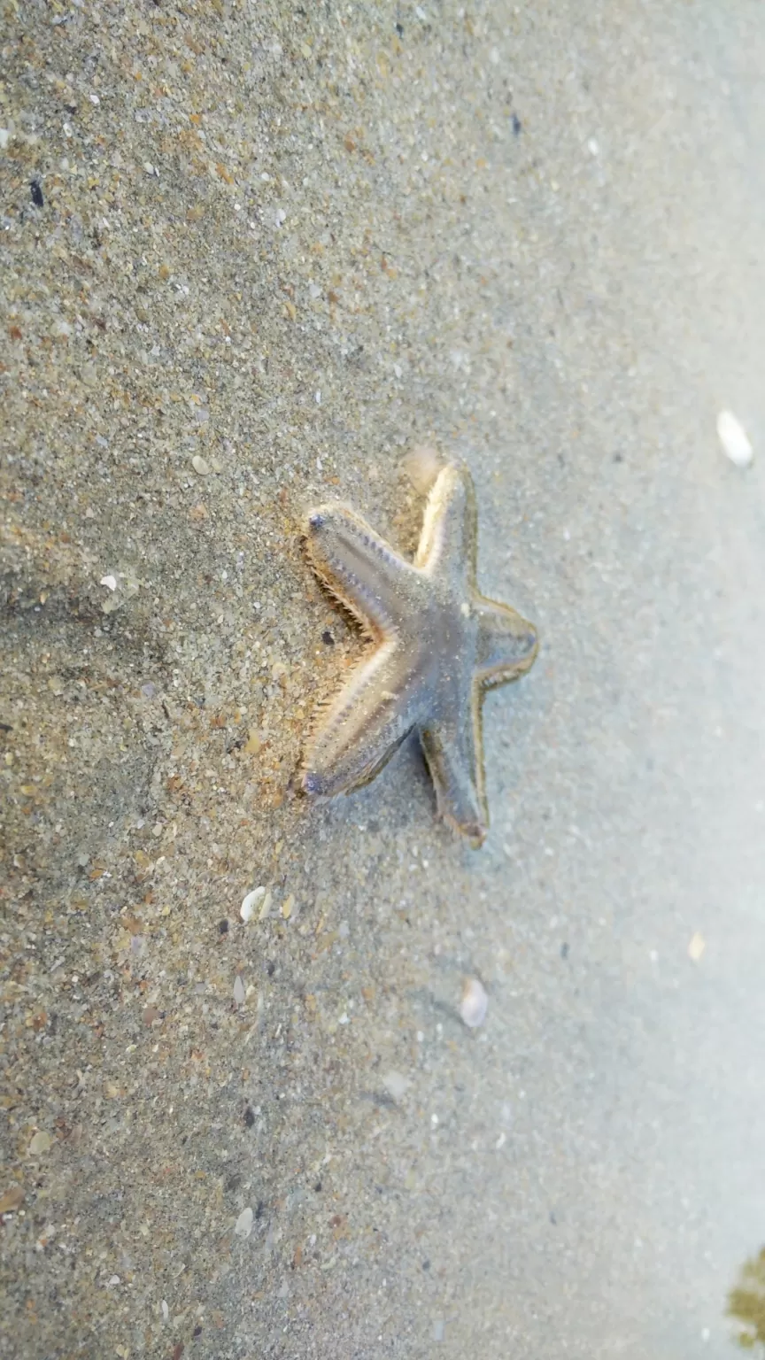 Photo of Palolem By kunal upadhyay
