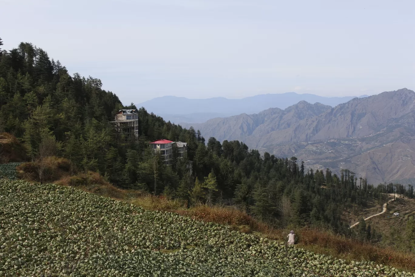 Photo of Shimla By Aravind rackad