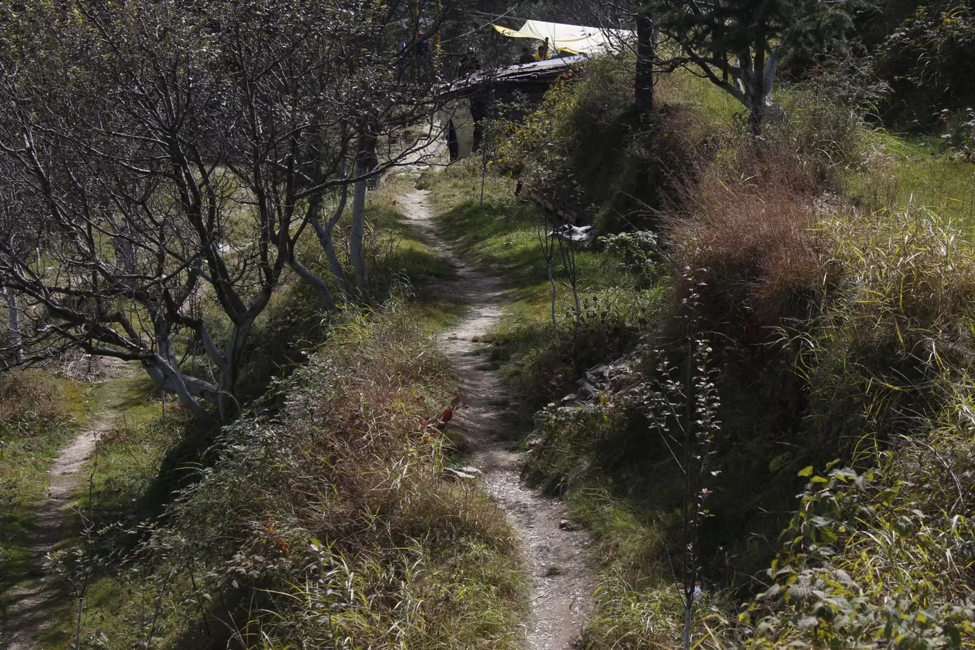 Photo of Shimla By Aravind rackad