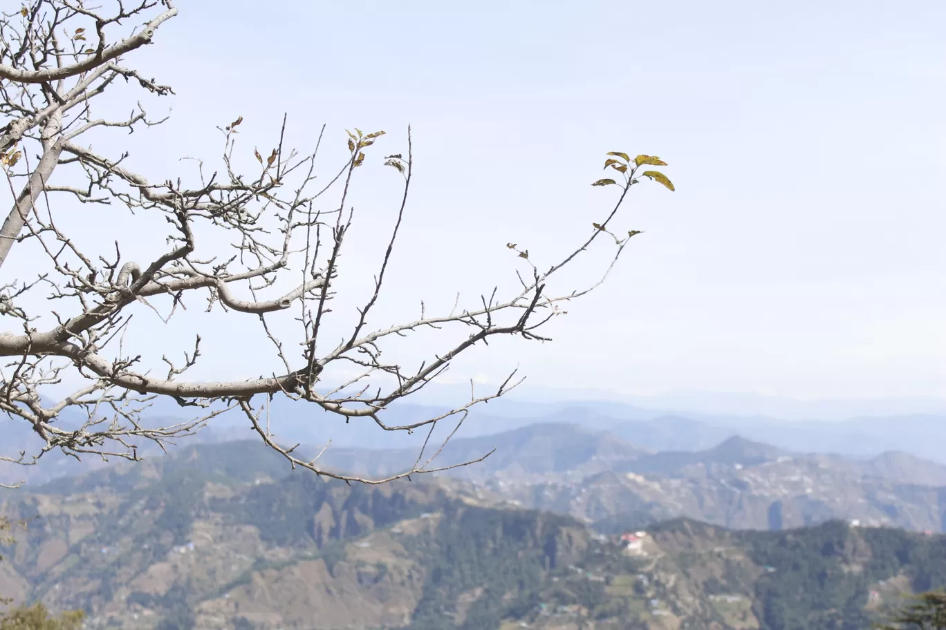 Photo of Shimla By Aravind rackad