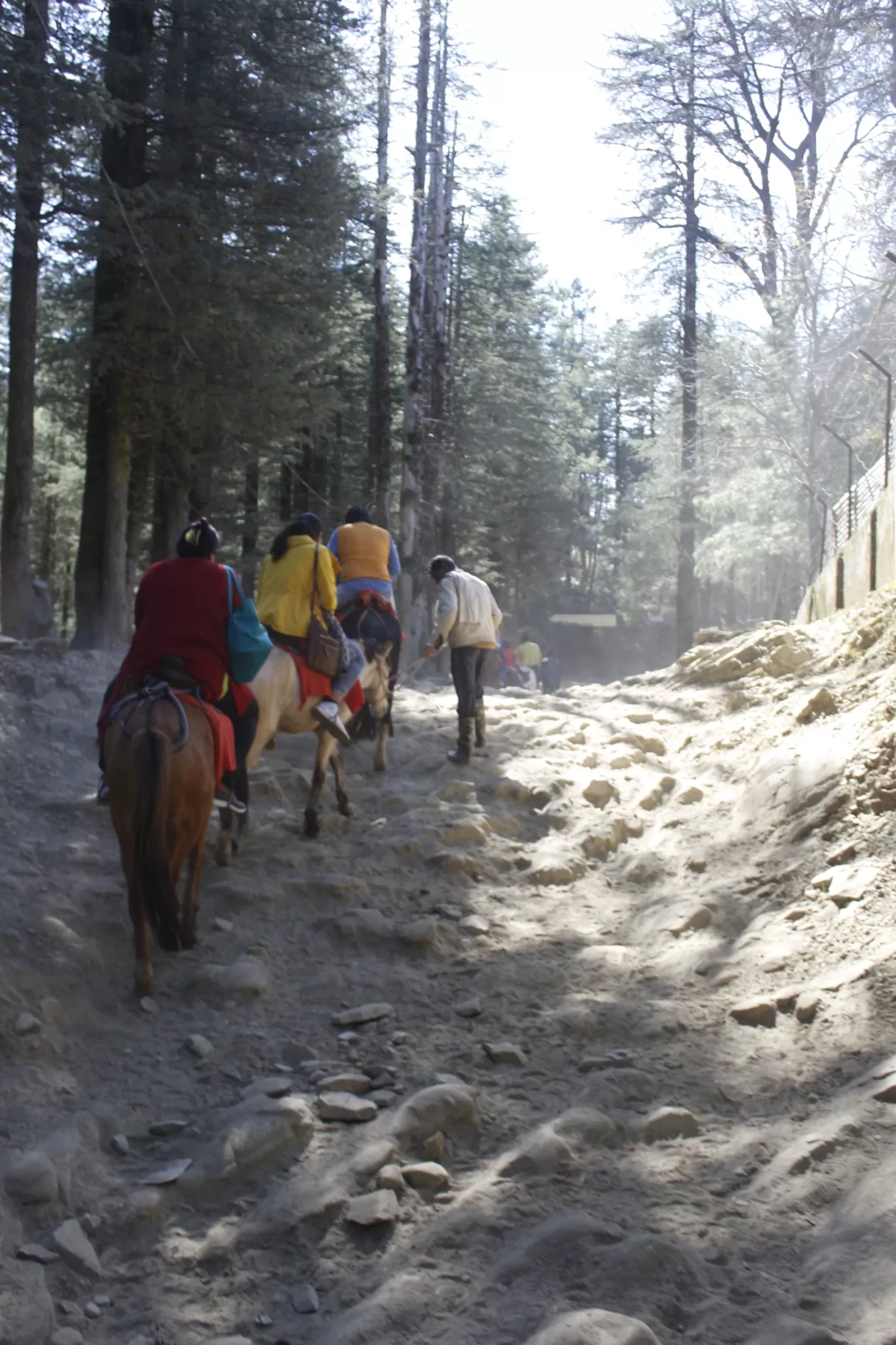 Photo of Shimla By Aravind rackad