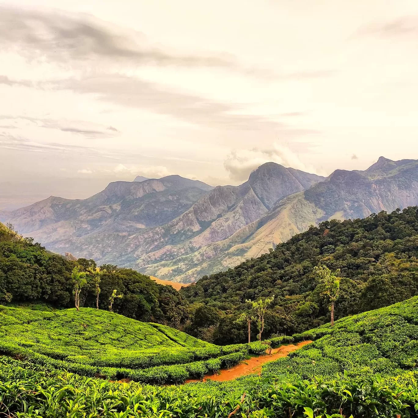 Photo of Kerala By Pradeep Dixit