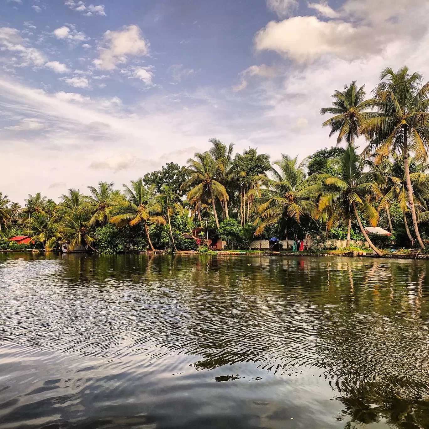 Photo of Kerala By Pradeep Dixit