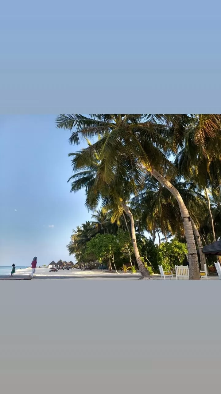 Photo of Sun Island Resort By filter_foodie