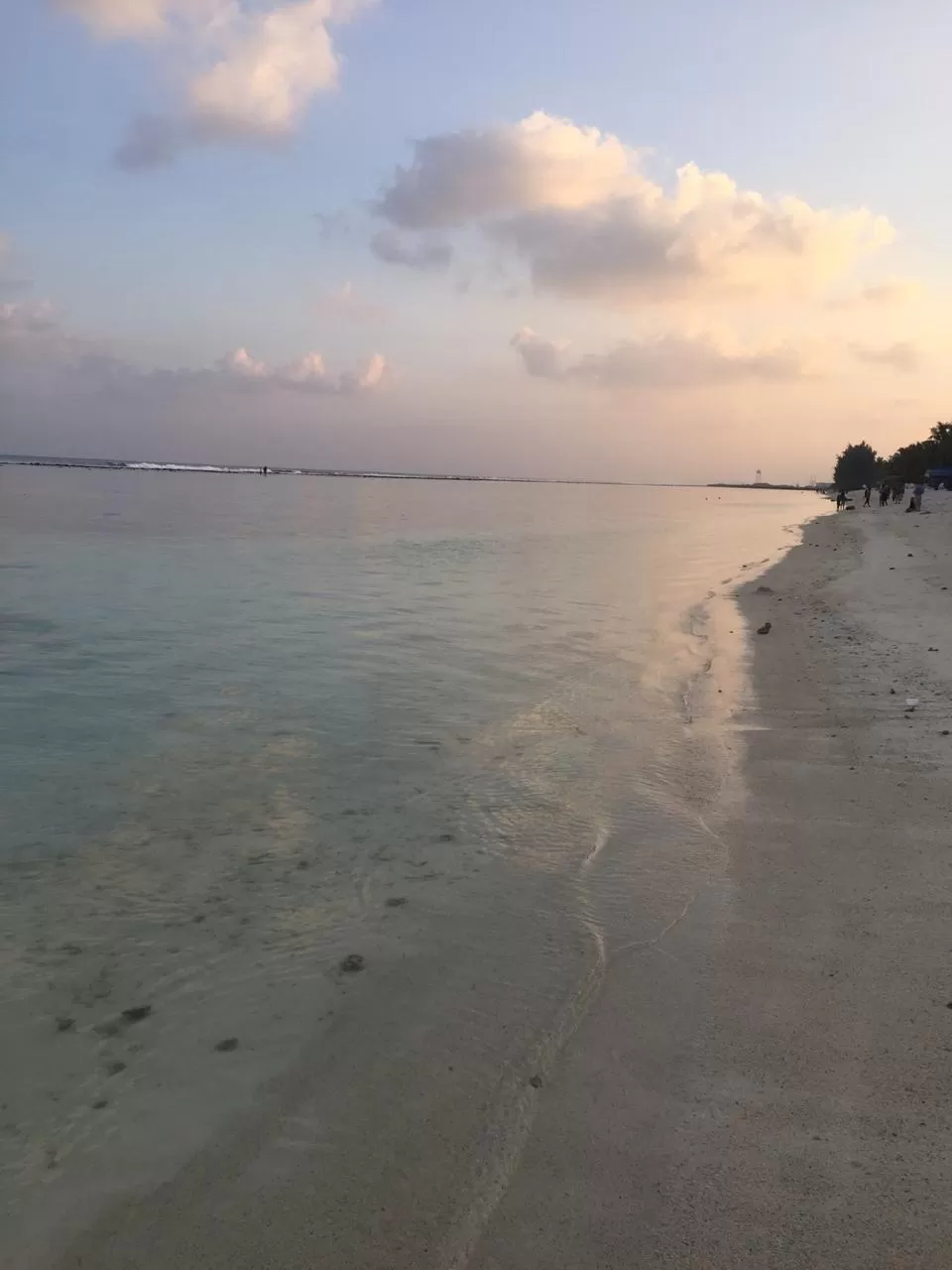 Photo of Sun Island Resort By filter_foodie