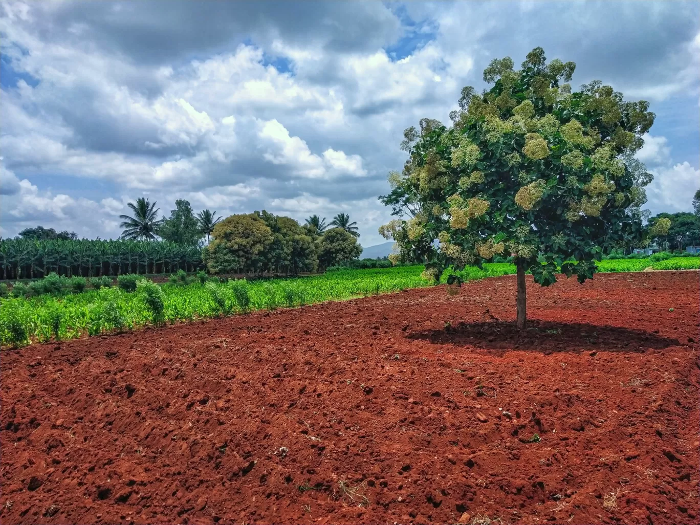 Photo of Gundalpet By Kiranchand M R