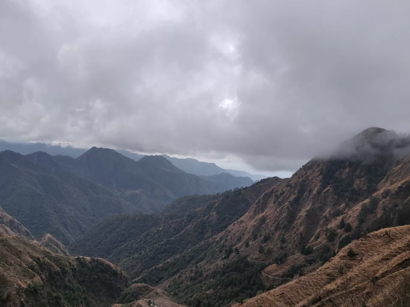 Photo of Dhanaulti By Niti Singh