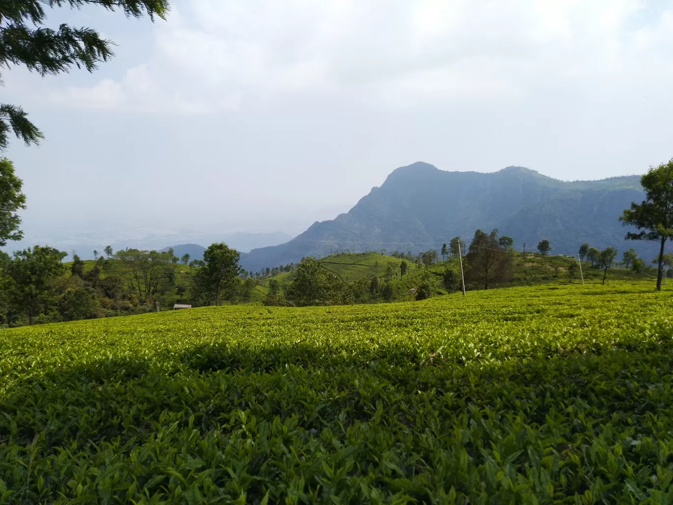 Photo of Coonoor By Kunal Mehta