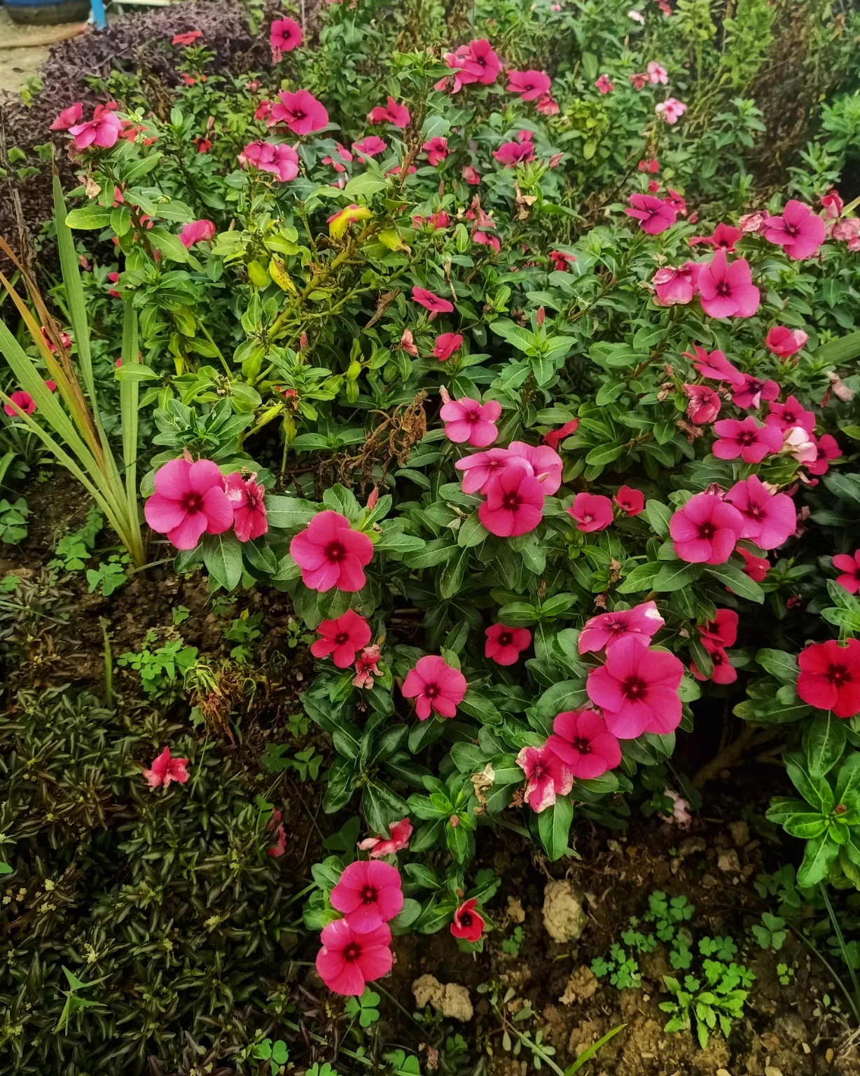 Photo of Kakching By Rosy Kangjam