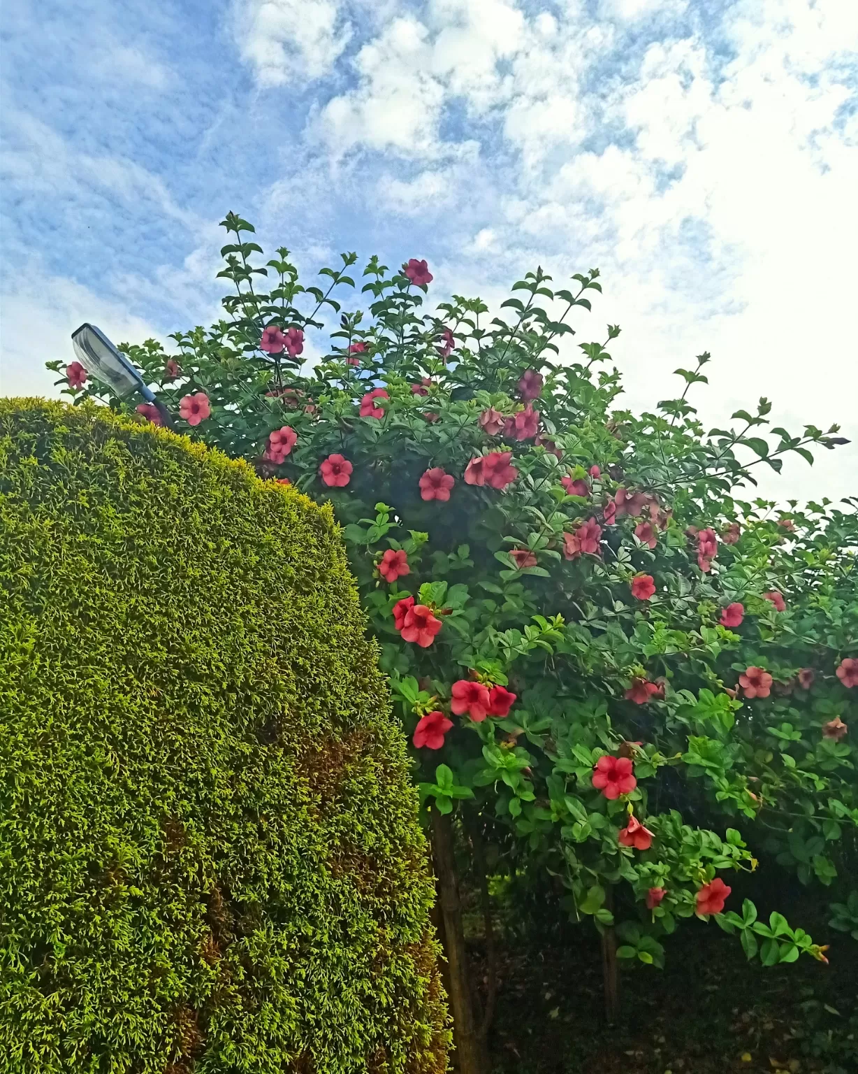 Photo of Kakching By Rosy Kangjam