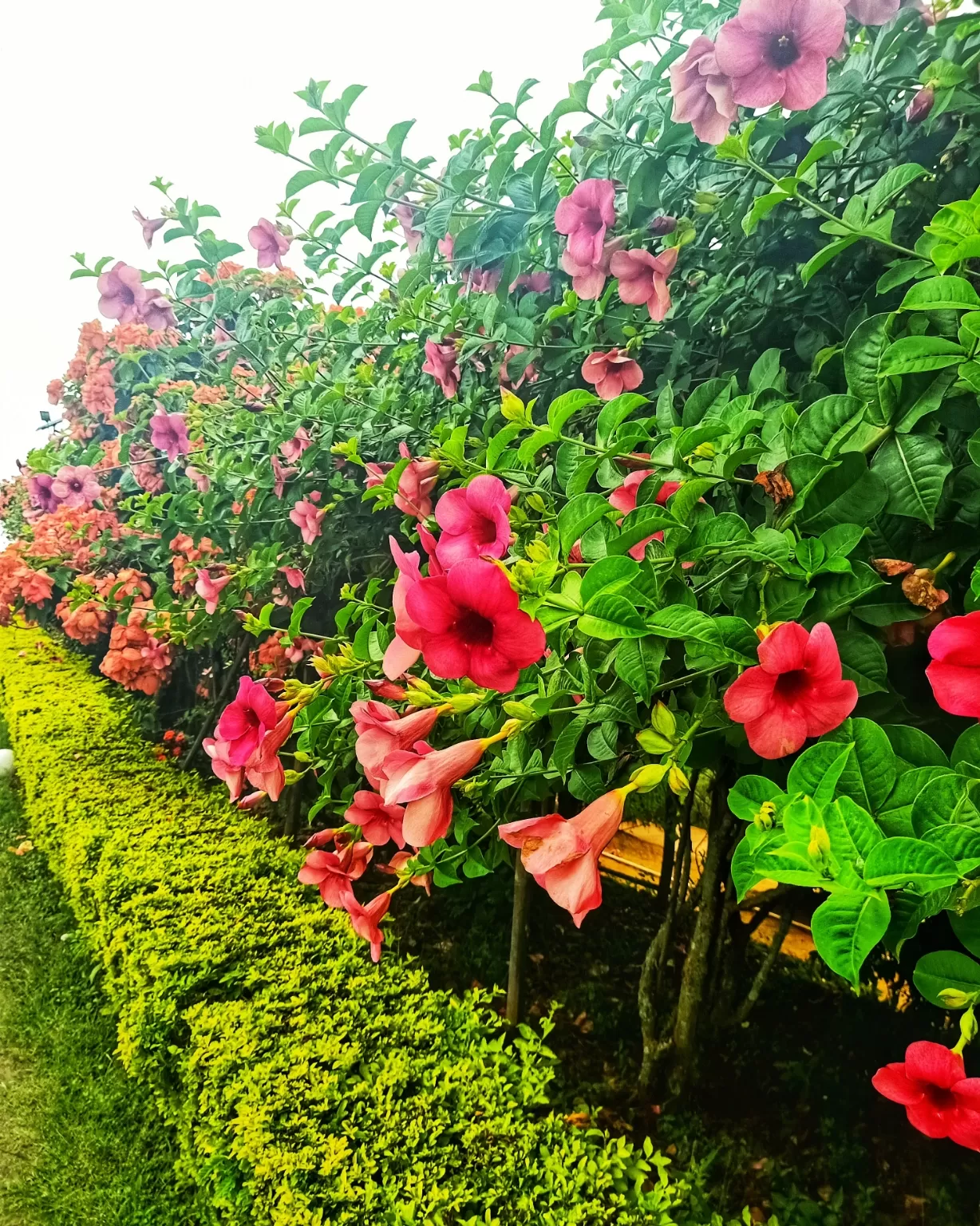 Photo of Kakching By Rosy Kangjam