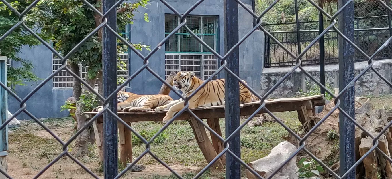 Photo of Arignar Anna Zoological Park By Anurag Sarolia
