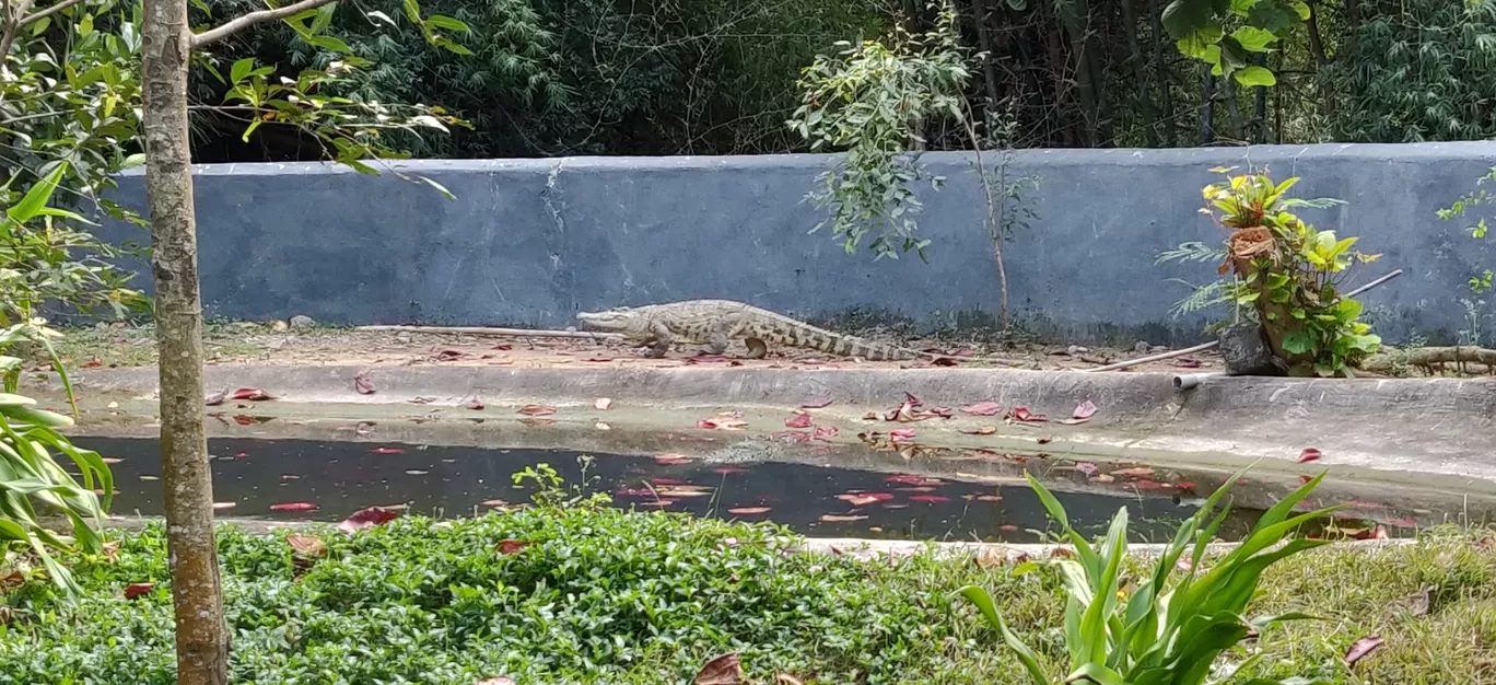 Photo of Arignar Anna Zoological Park By Anurag Sarolia