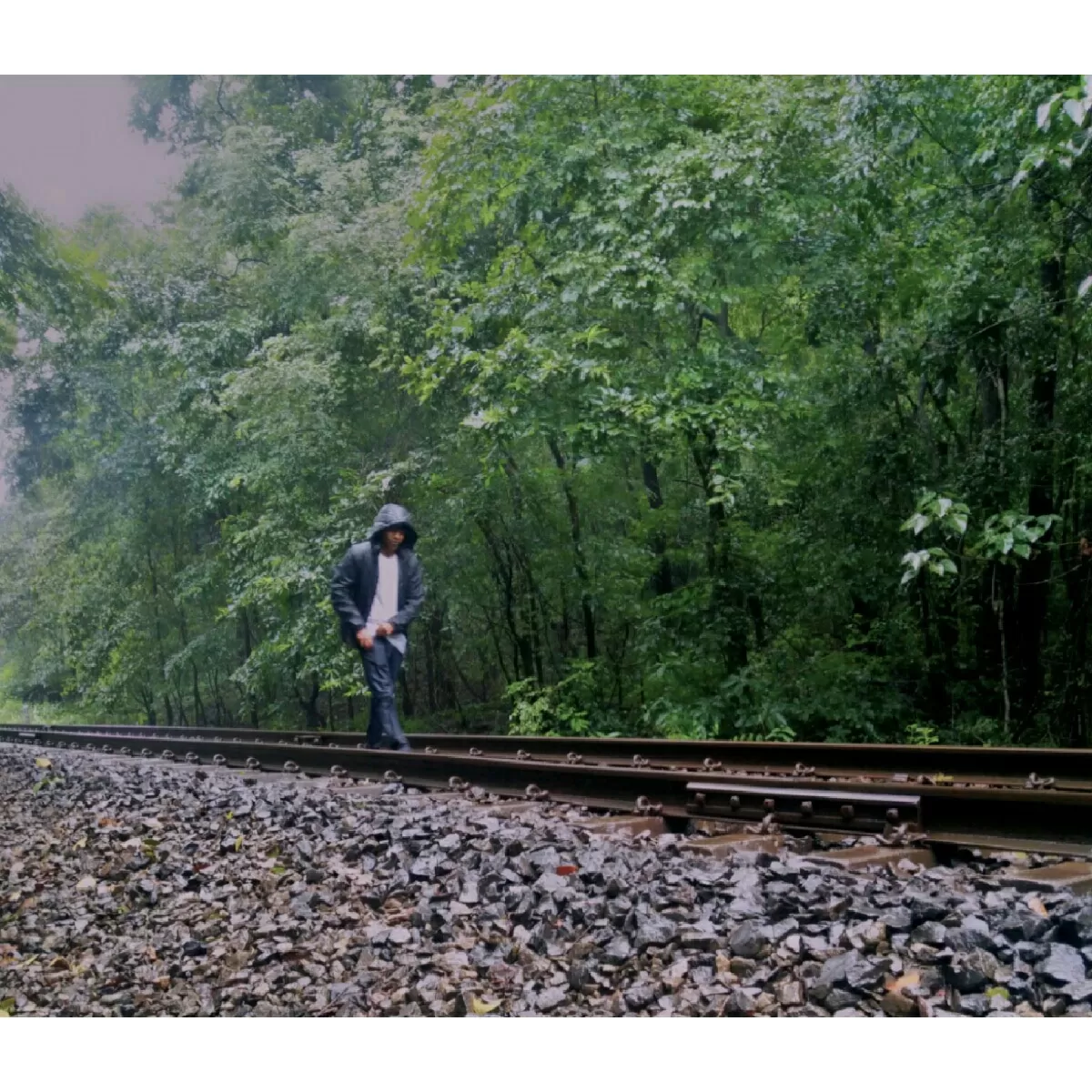 Photo of Dudhsagar Falls By 99
