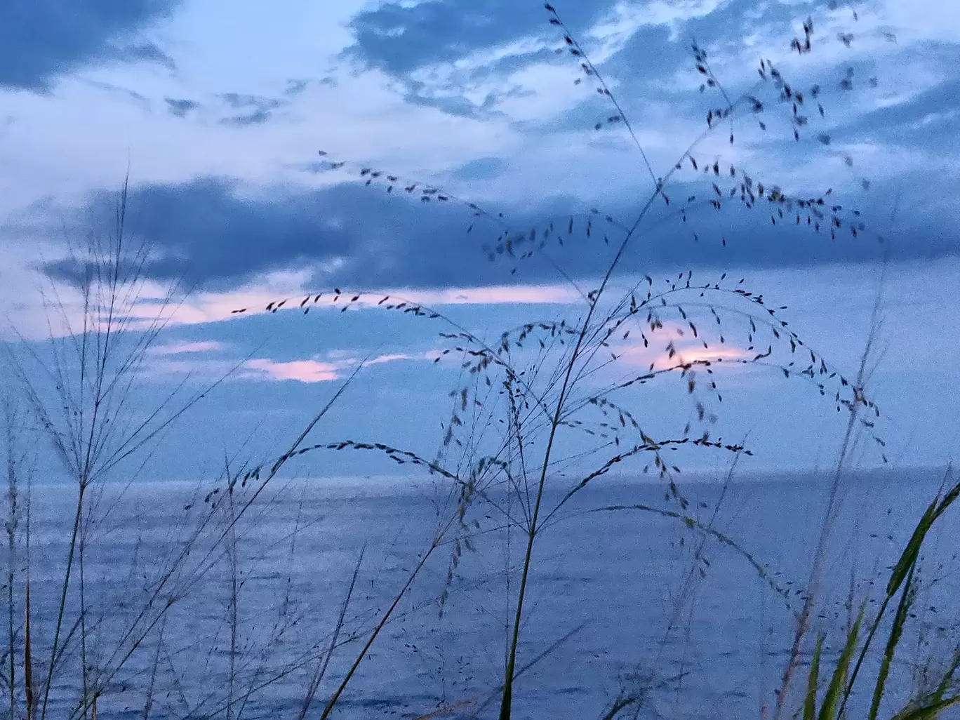 Photo of Varkala cliff By Sourav Rout