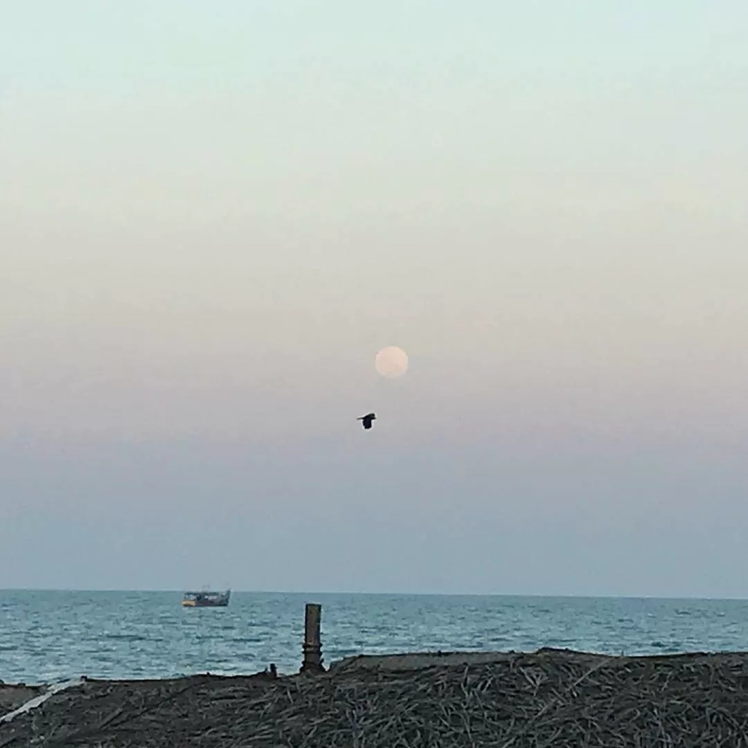 Photo of Pondicherry By Sourav Rout