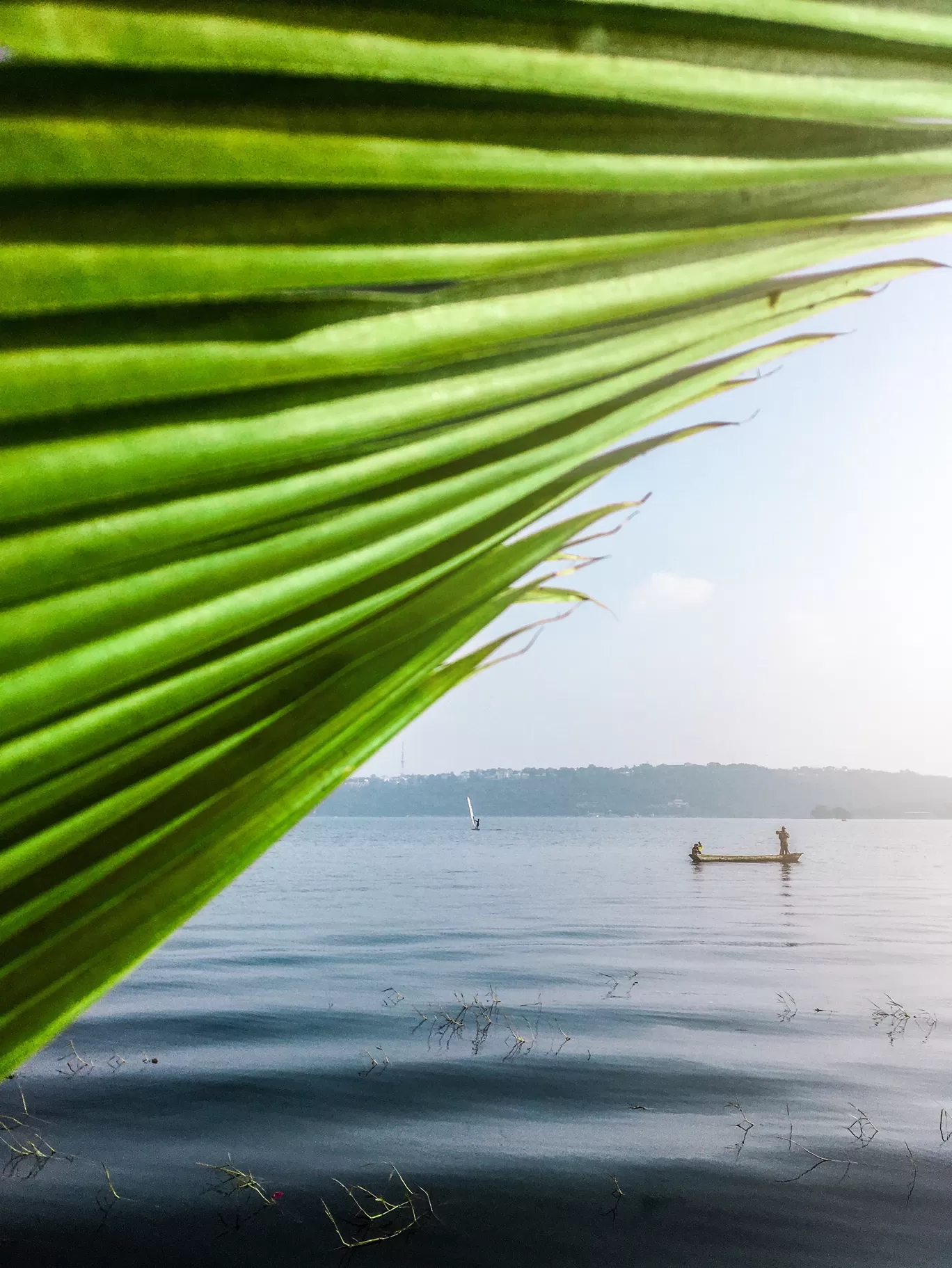 Photo of Bhopal By Escapeteddy
