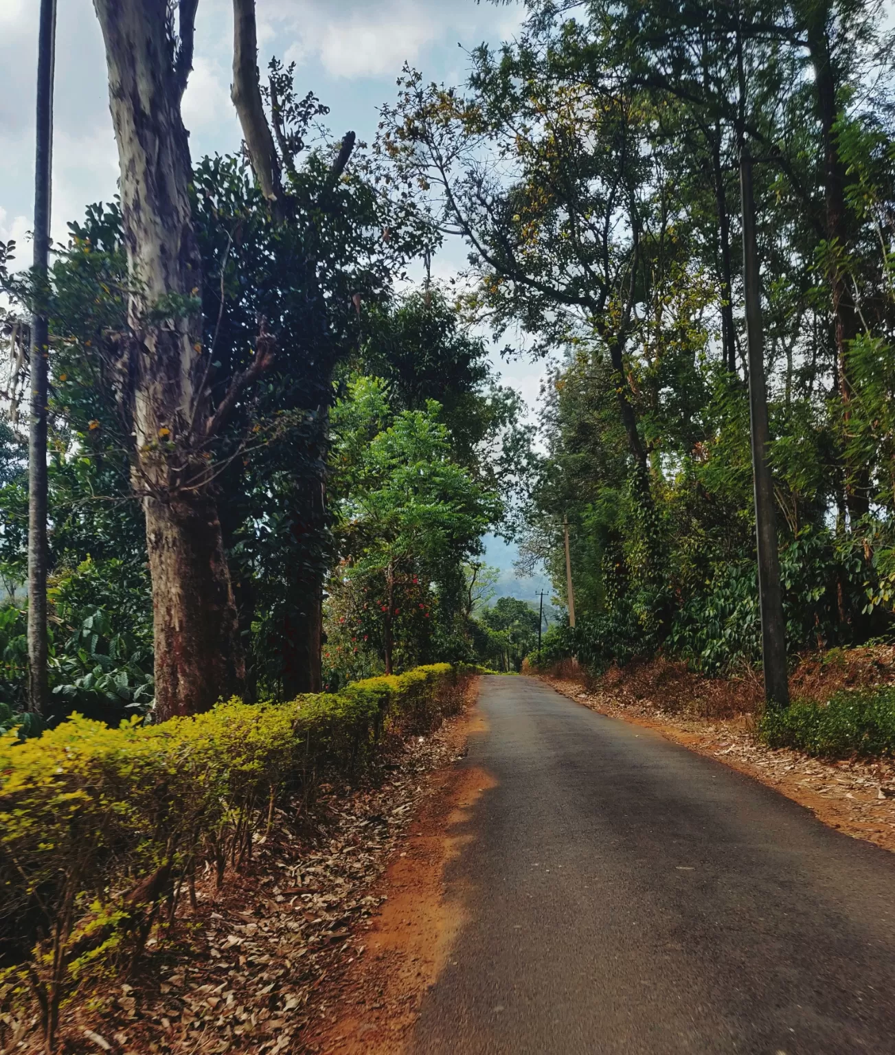Photo of Coorg By Moumita Dey