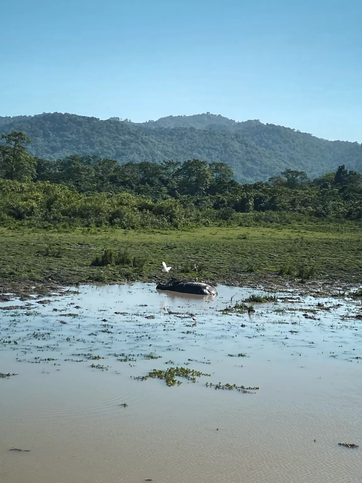 Photo of Kaziranga National Park By Mridusmita Barman