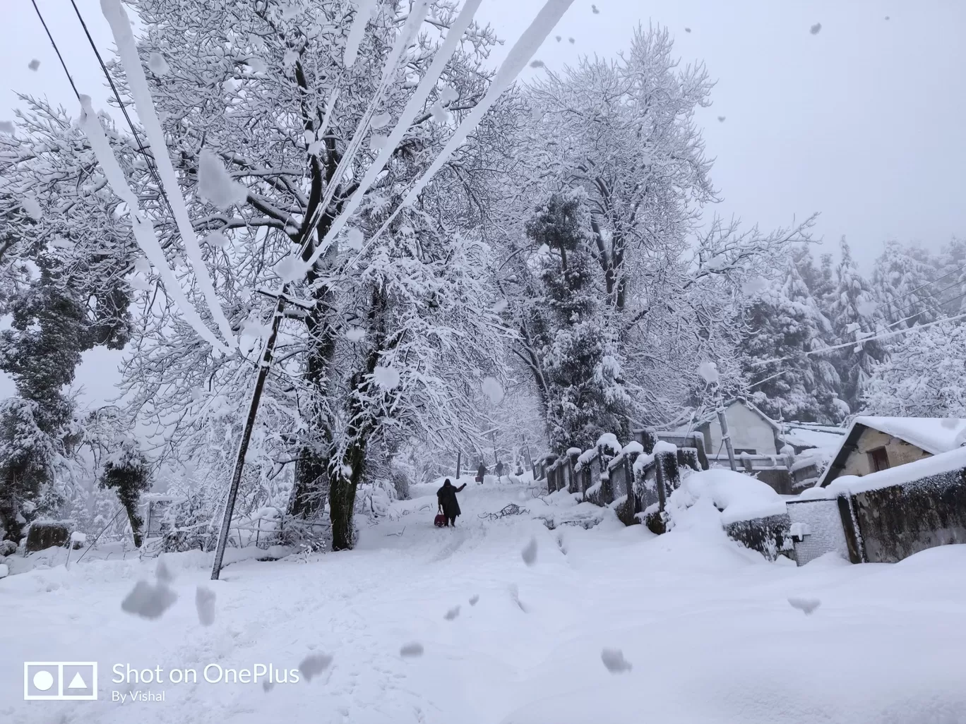 Photo of Dalhousie By Vishal Vaghela